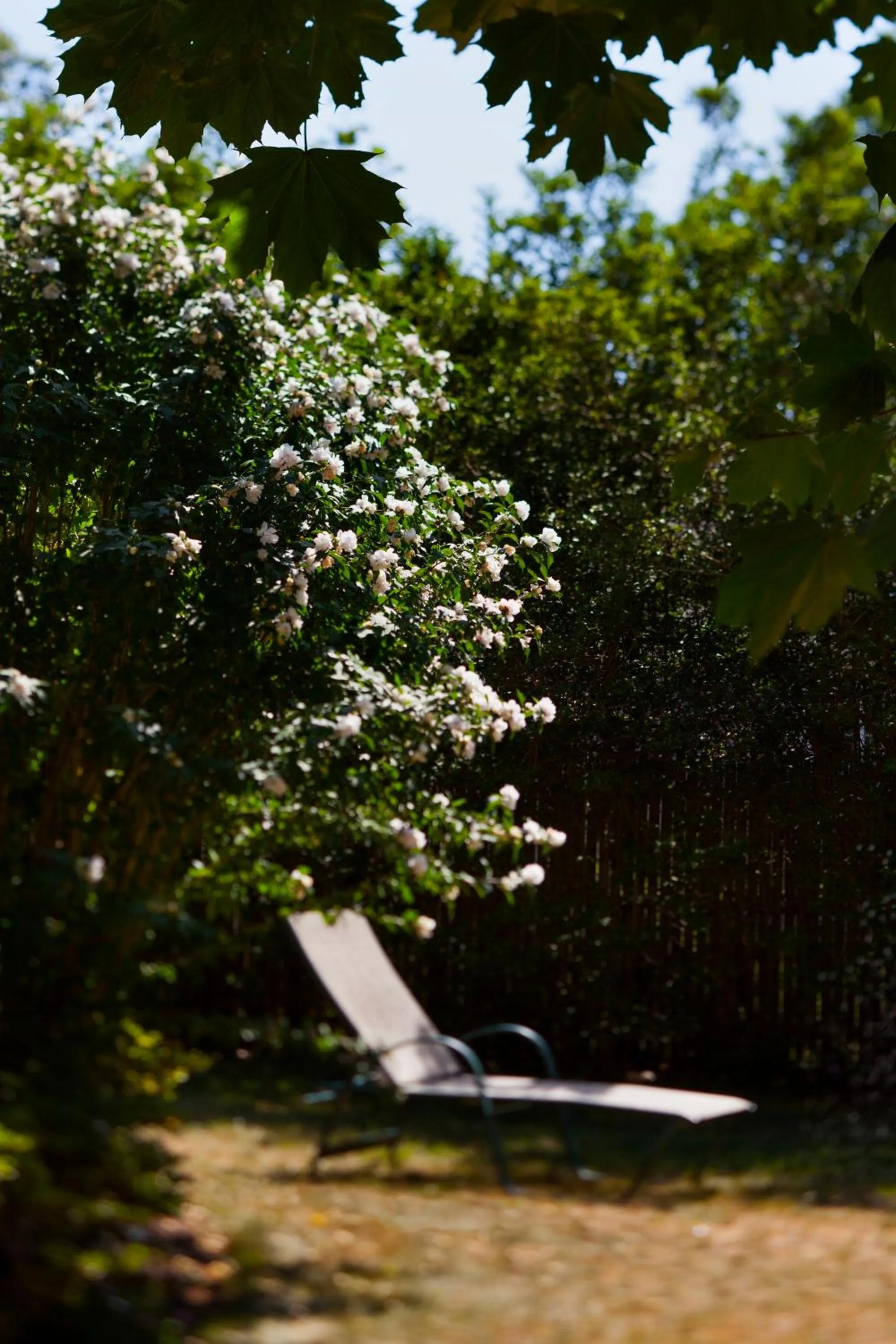 Garden in Captain's House Inn