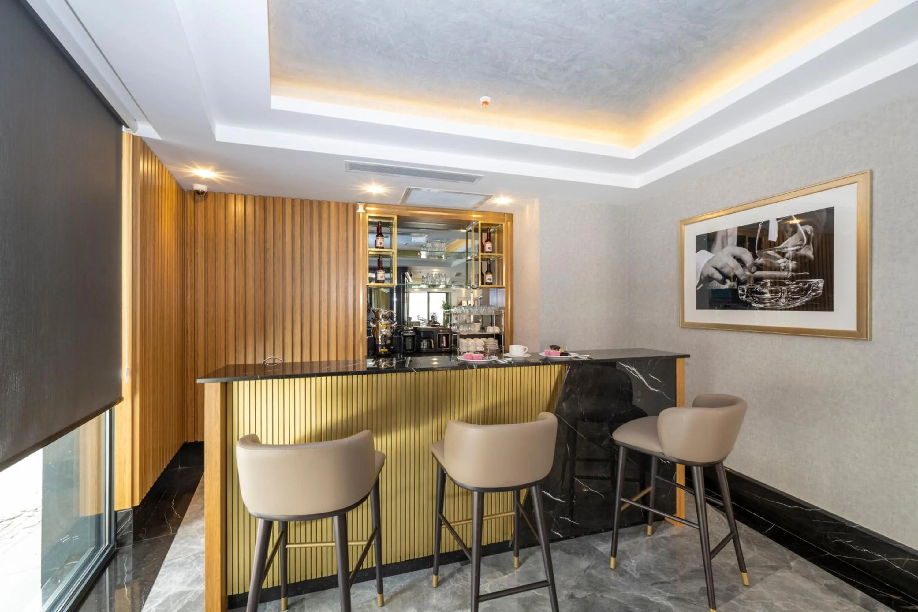 Lounge or bar in Hotel Ravi