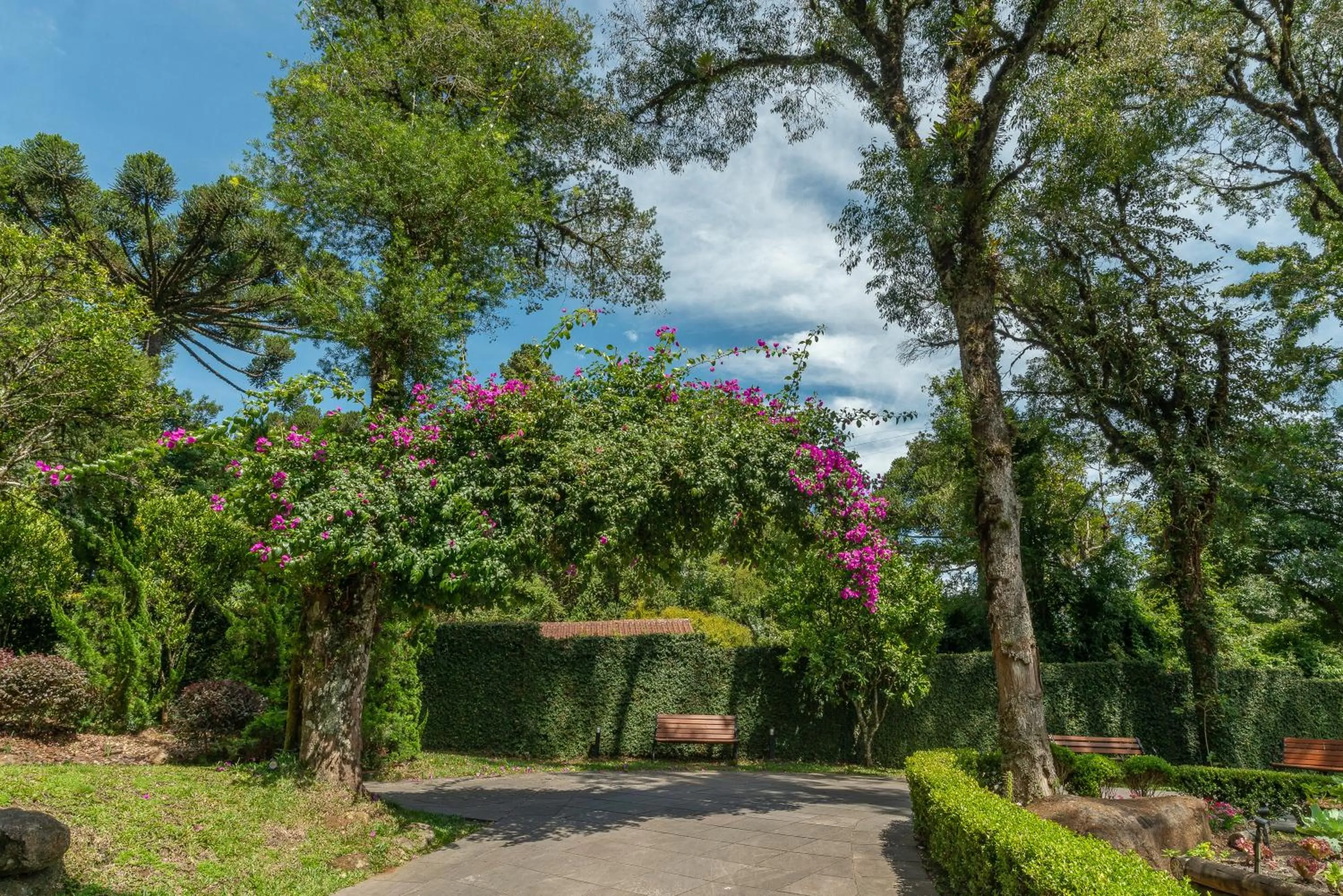 Garden in Hotel Monte Felice Bosque