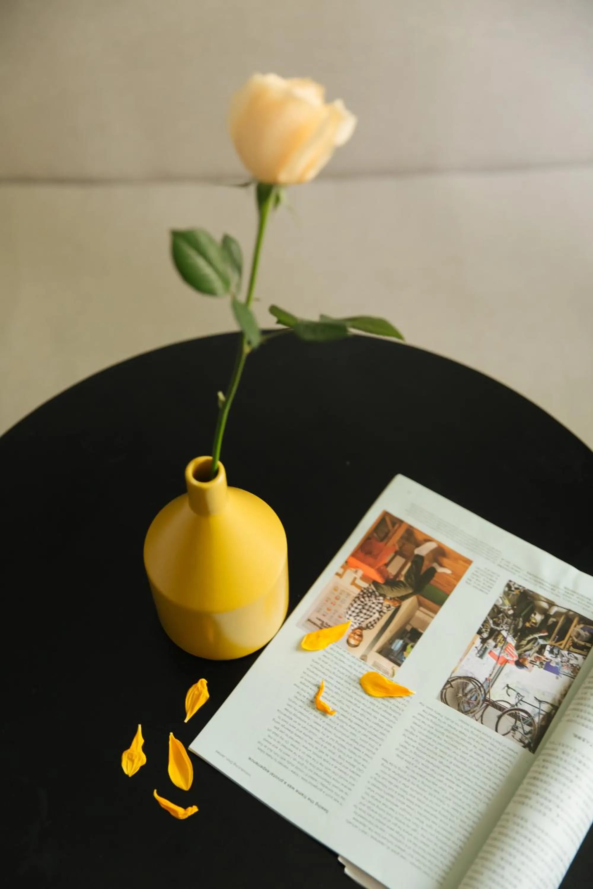 Decorative detail in City Park Hotel