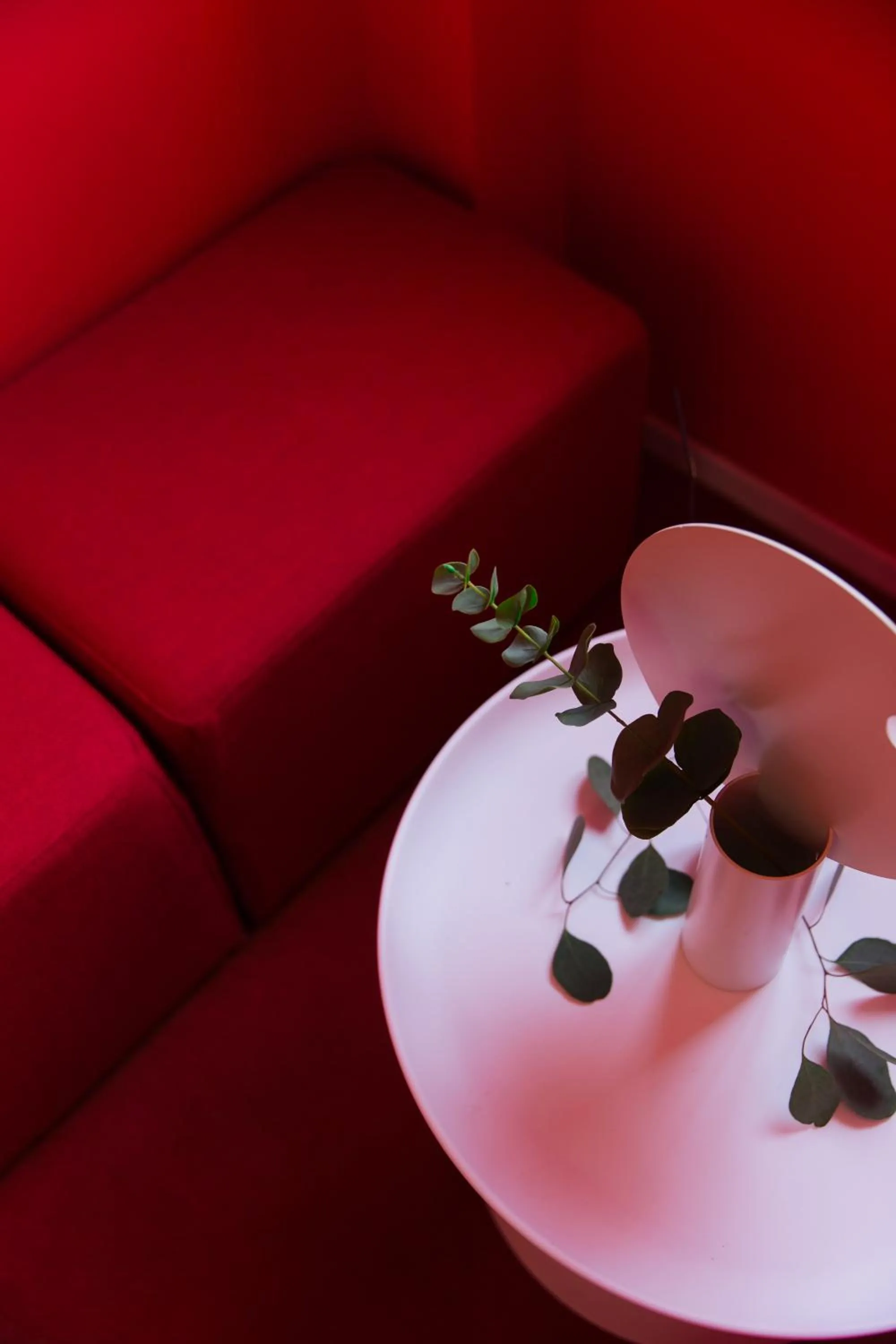 Activities in City Park Hotel