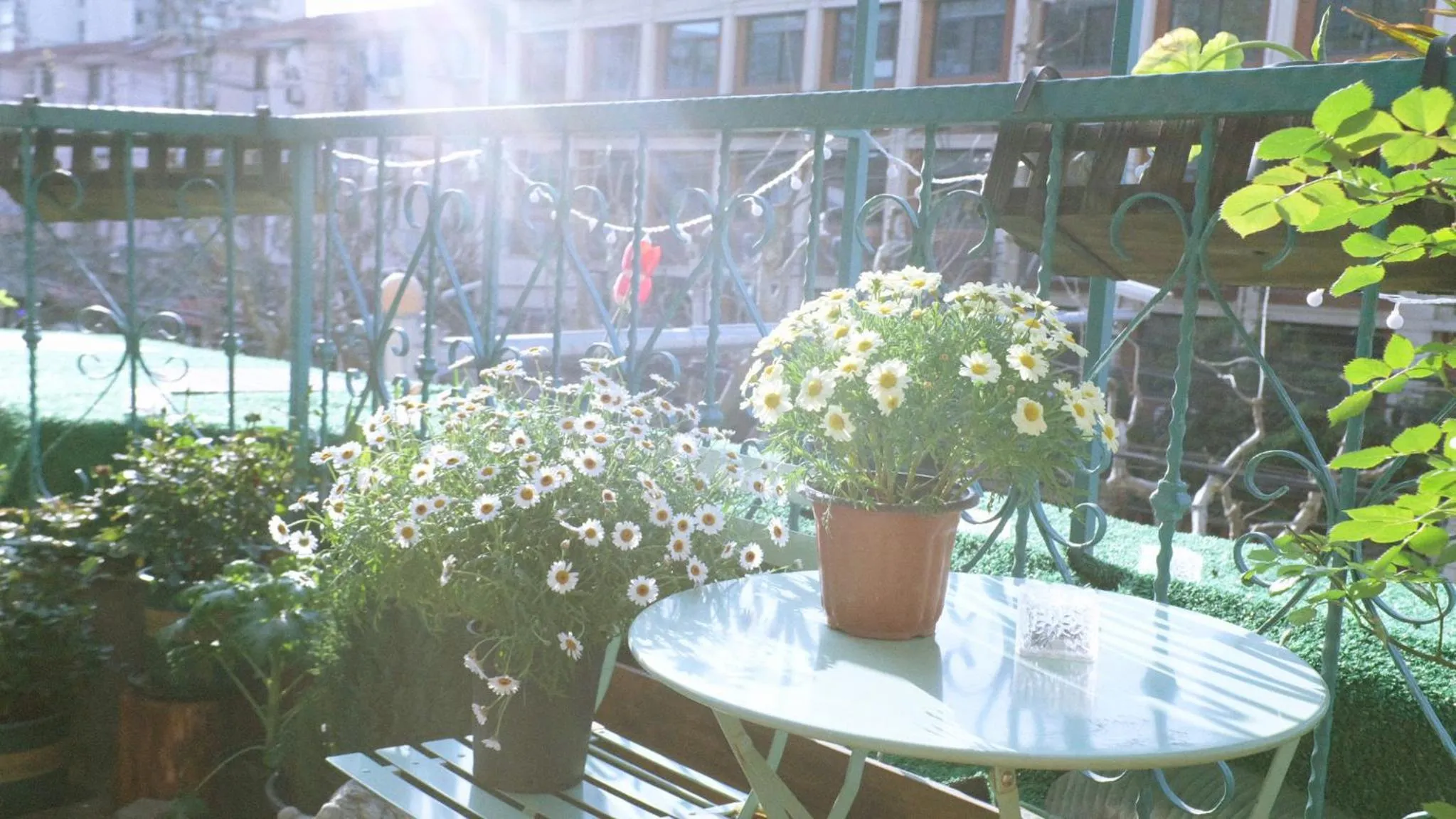 Garden in City Park Hotel