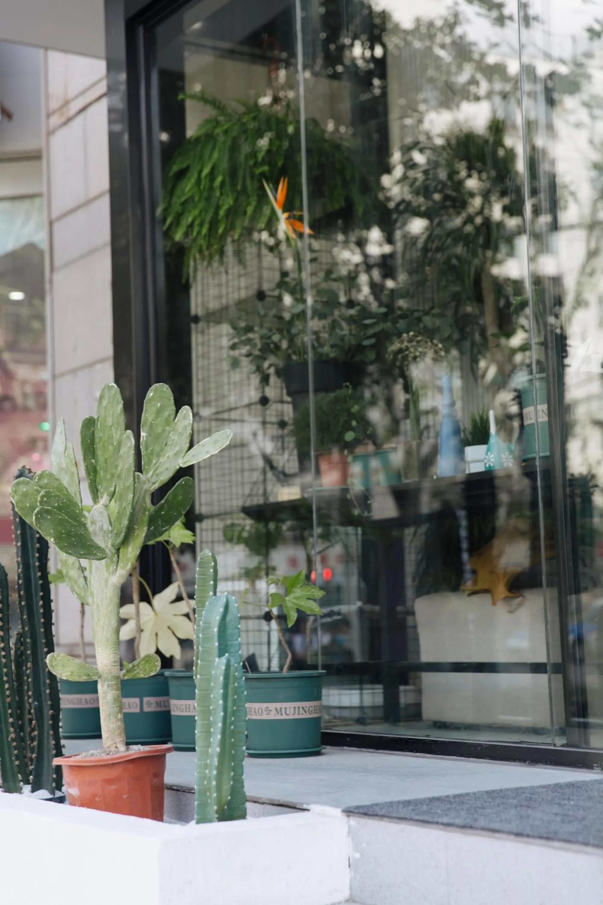Garden view in City Park Hotel