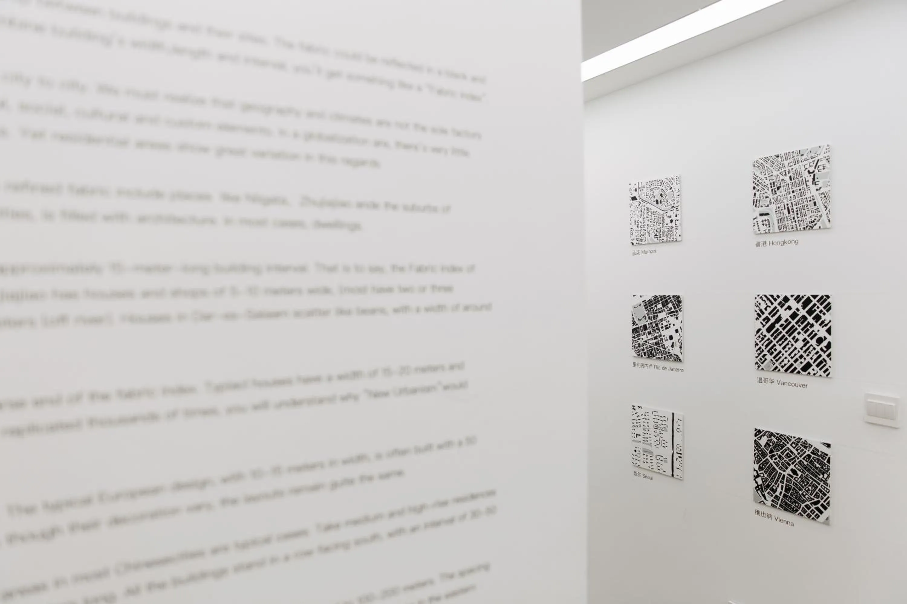 Entertainment in City Park Hotel