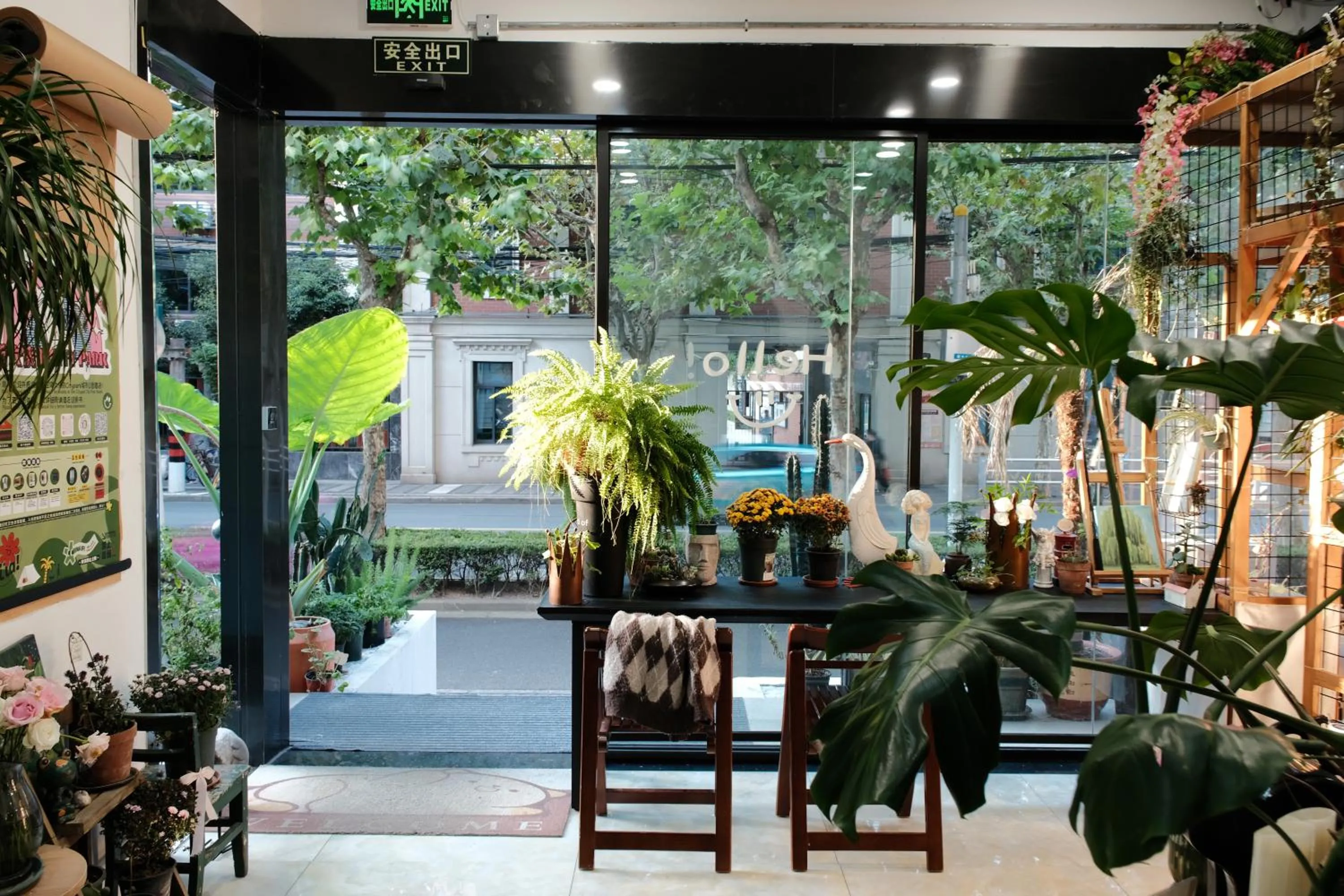 Garden in City Park Hotel