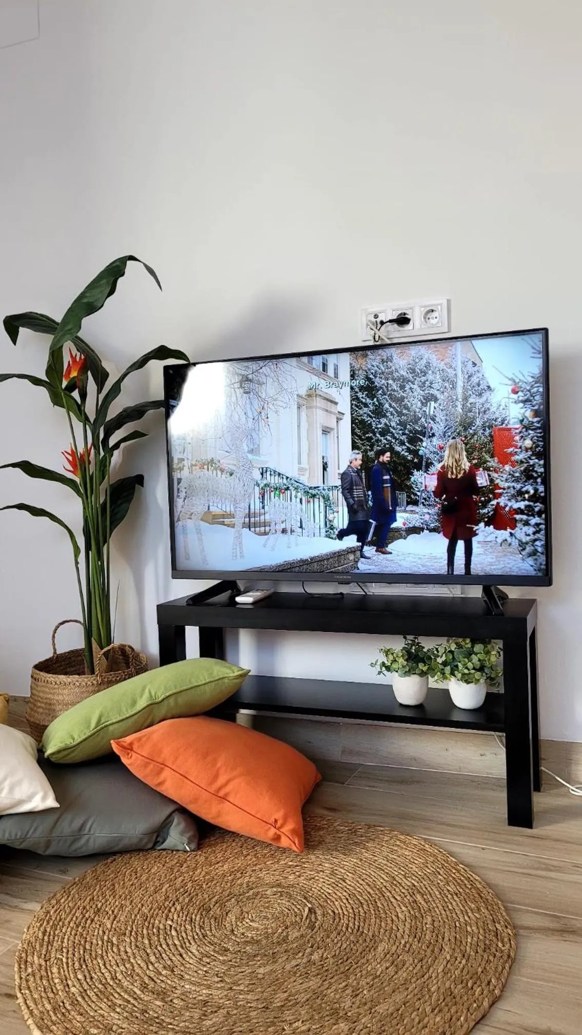 TV and multimedia in Apartament a Sant Celoni, Montseny, Barcelona