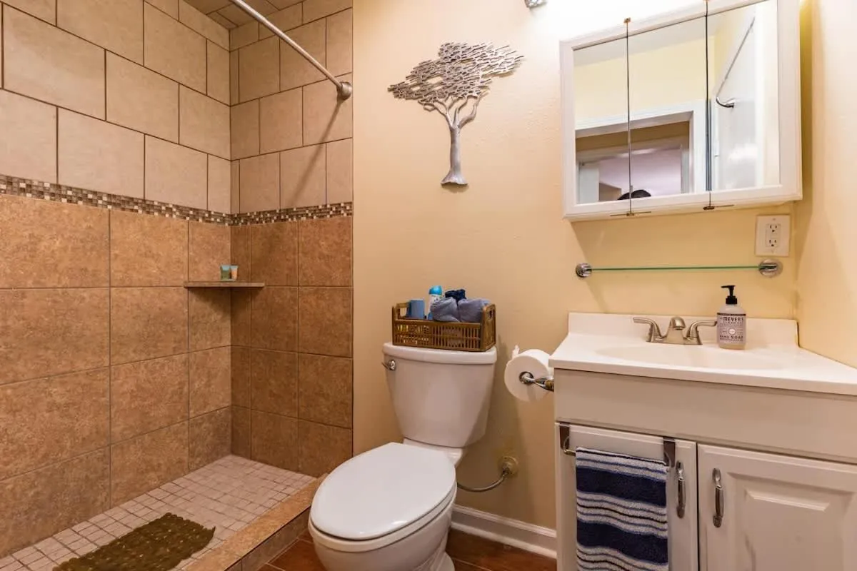 Shower in Red Bird Cabin Studio Retreat