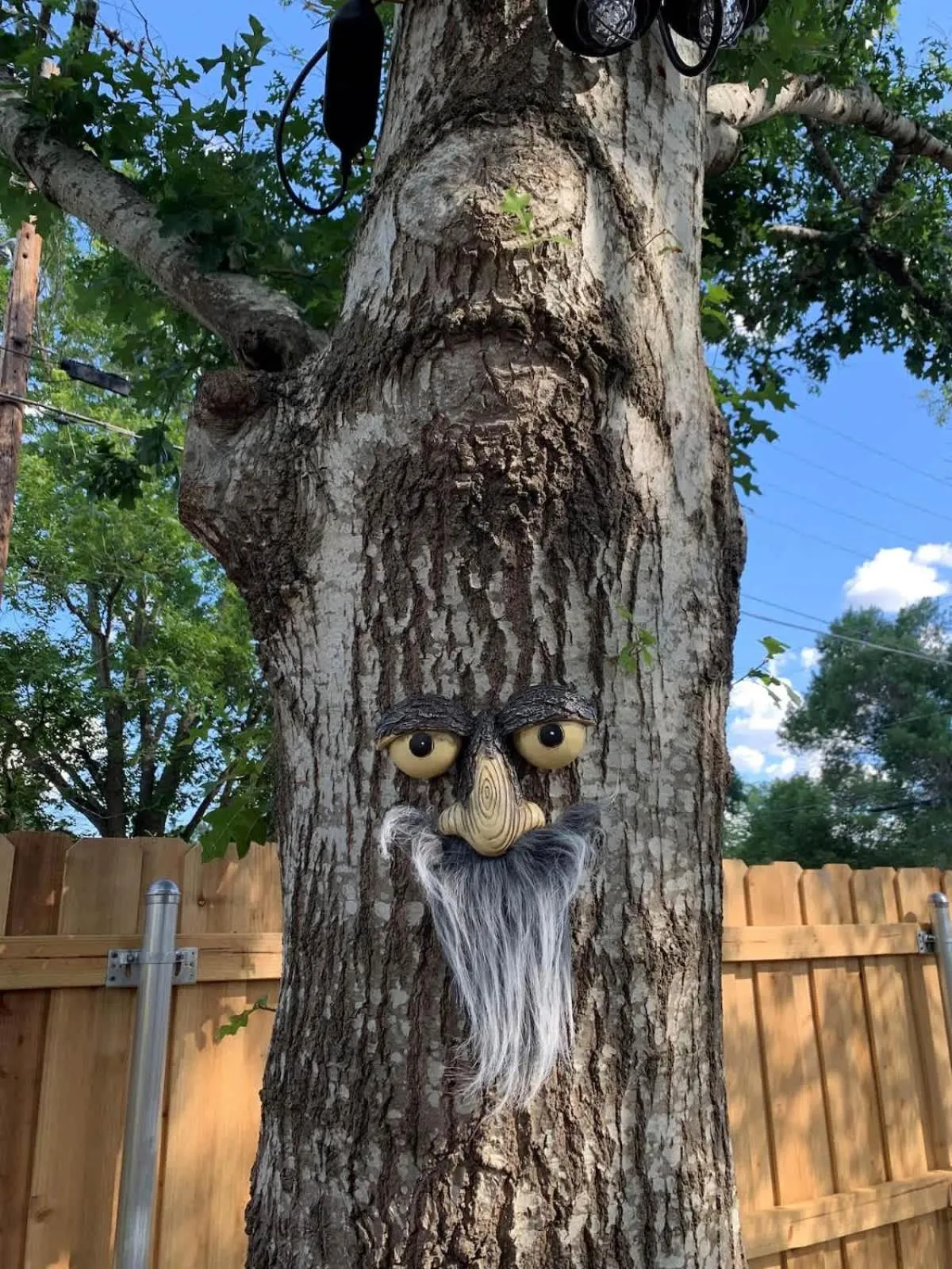 Day in Luxury Haus - GREAT Backyard, Firepit, Bocce Ball!