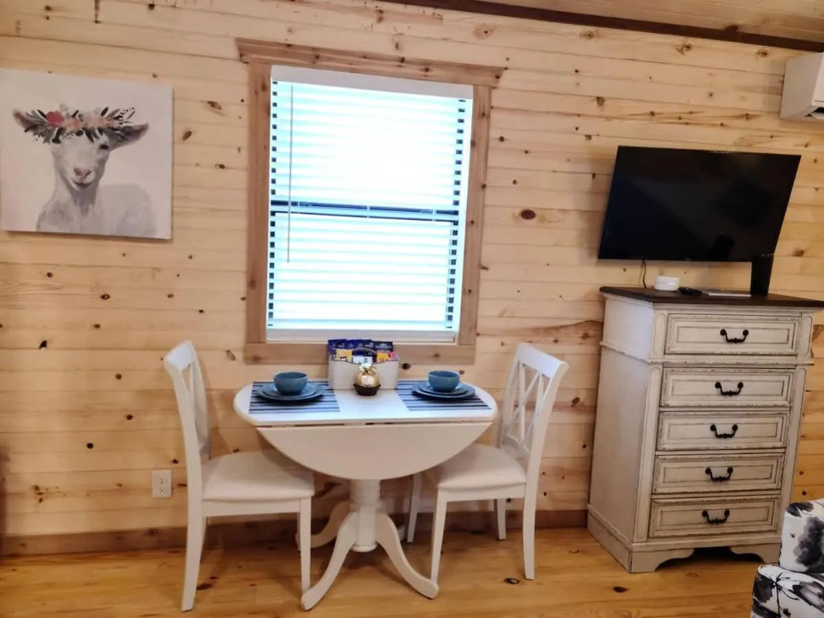 TV and multimedia in Stunning Cabin Right on Main St!