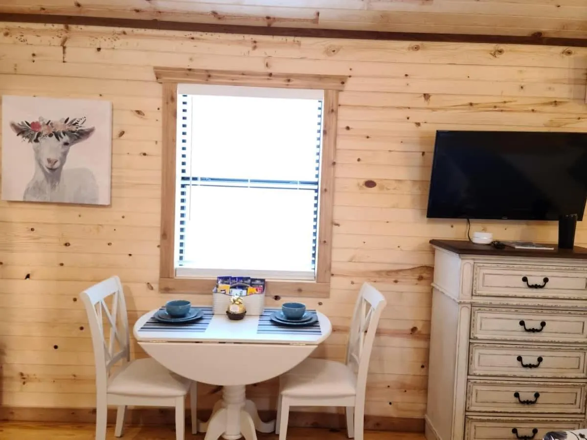 TV and multimedia in Stunning Cabin Right on Main St!