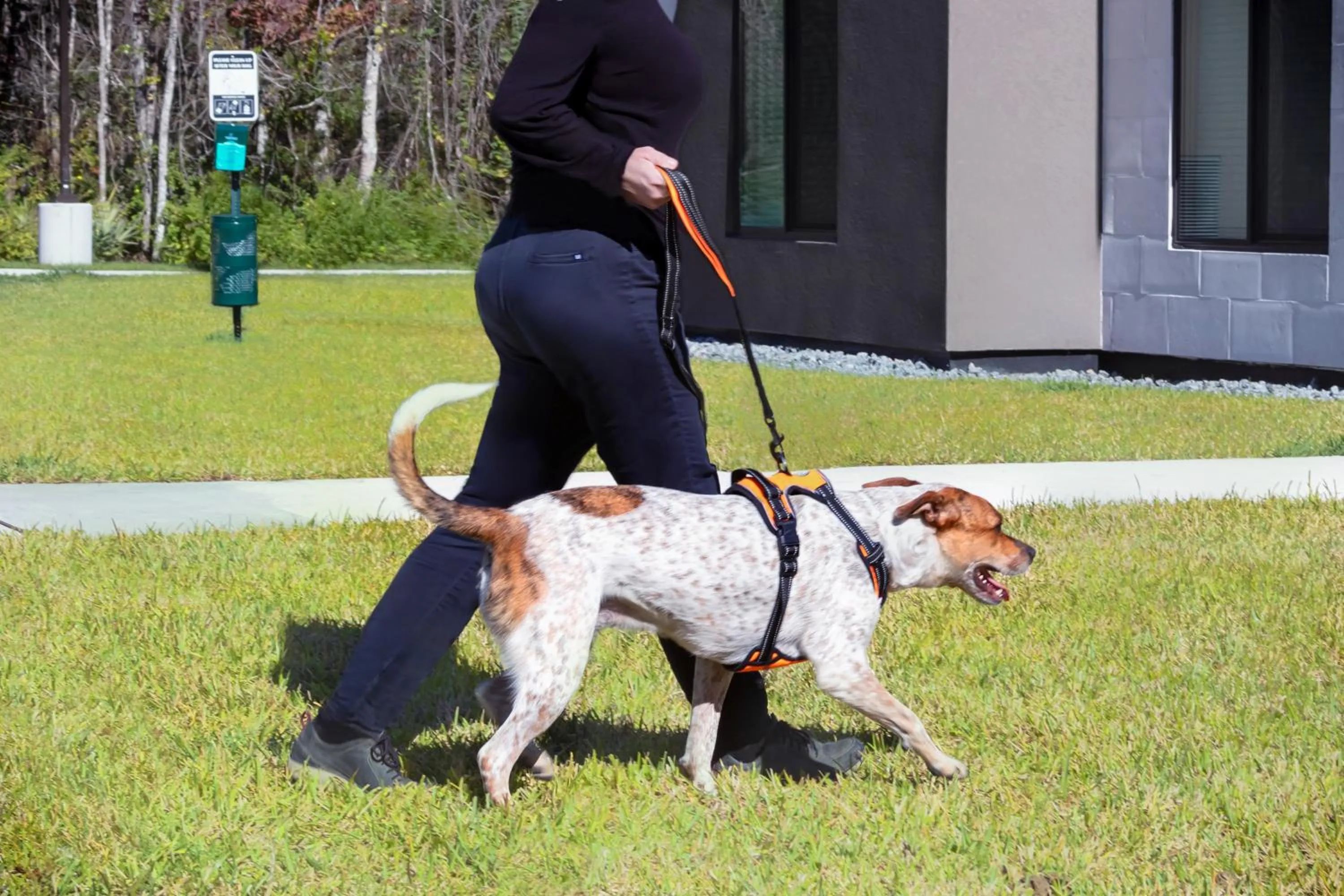 Pets in WaterWalk Extended Stay by Wyndham Jacksonville Deerwood Pk