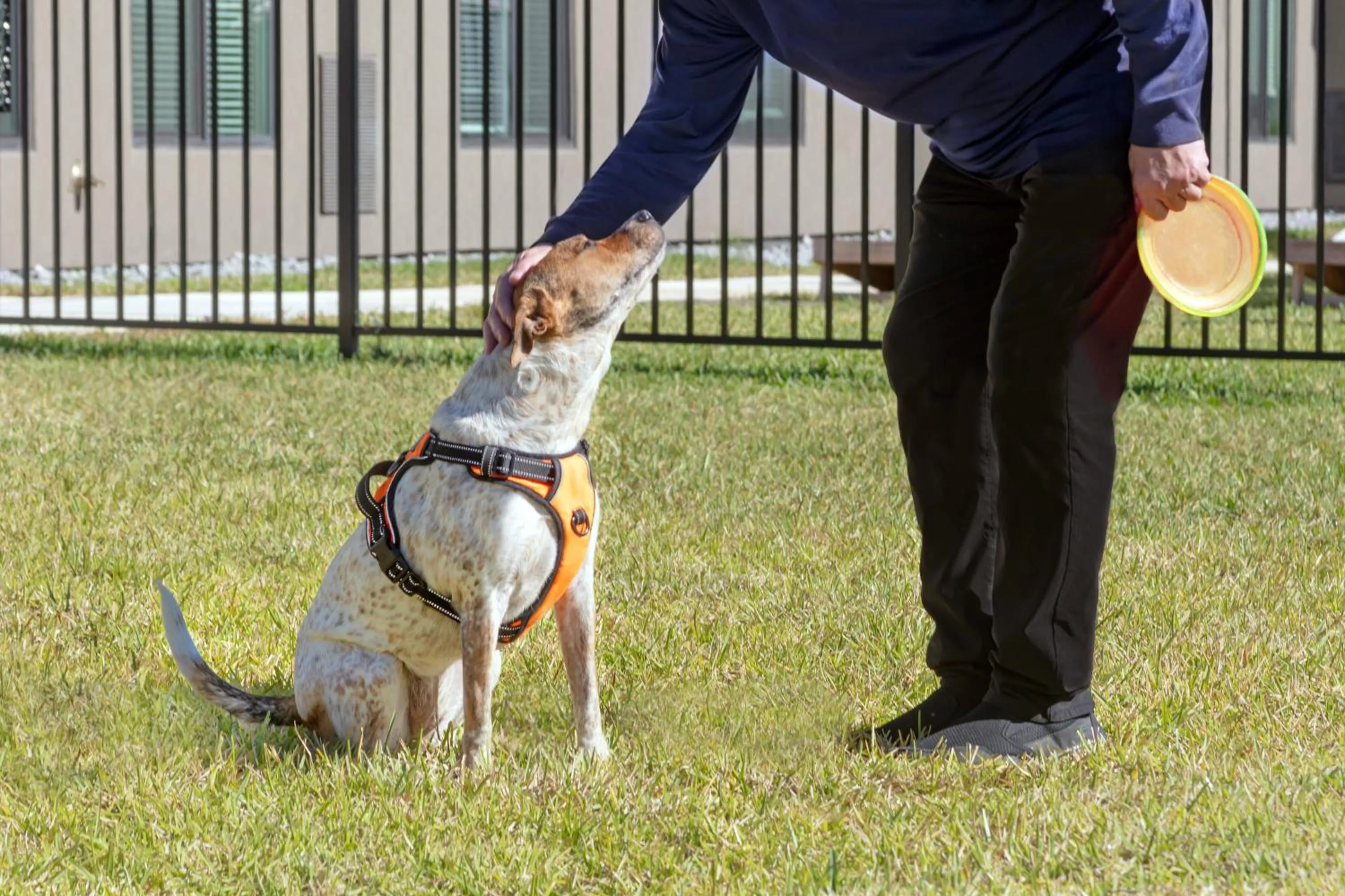 Pets in WaterWalk Extended Stay by Wyndham Jacksonville Deerwood Pk