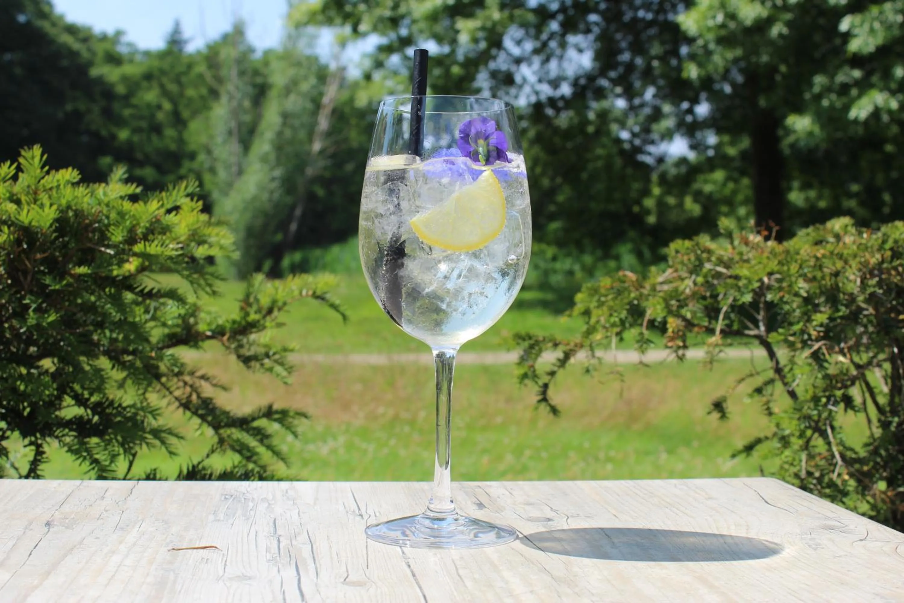 Restaurant/places to eat in DoubleTree by Hilton Royal Parc Soestduinen