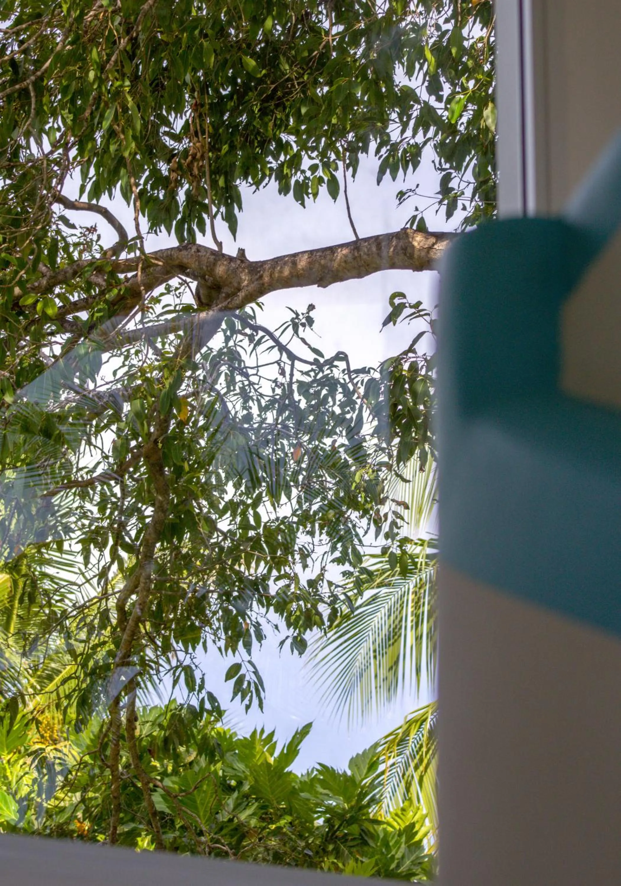 Property building in Silver County Hotel, Fuvahmulah - Maldives