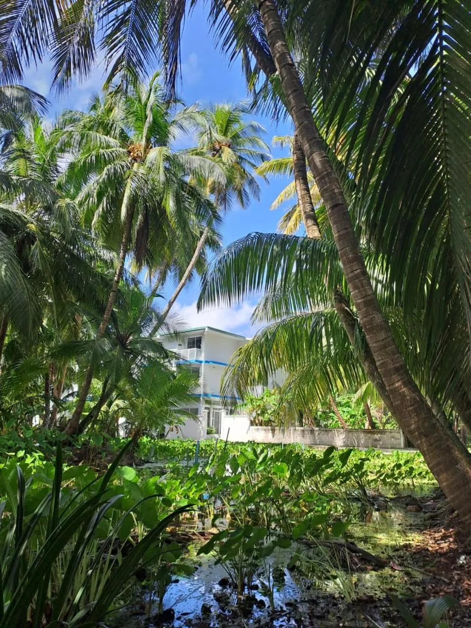 Property building in Silver County Hotel, Fuvahmulah - Maldives
