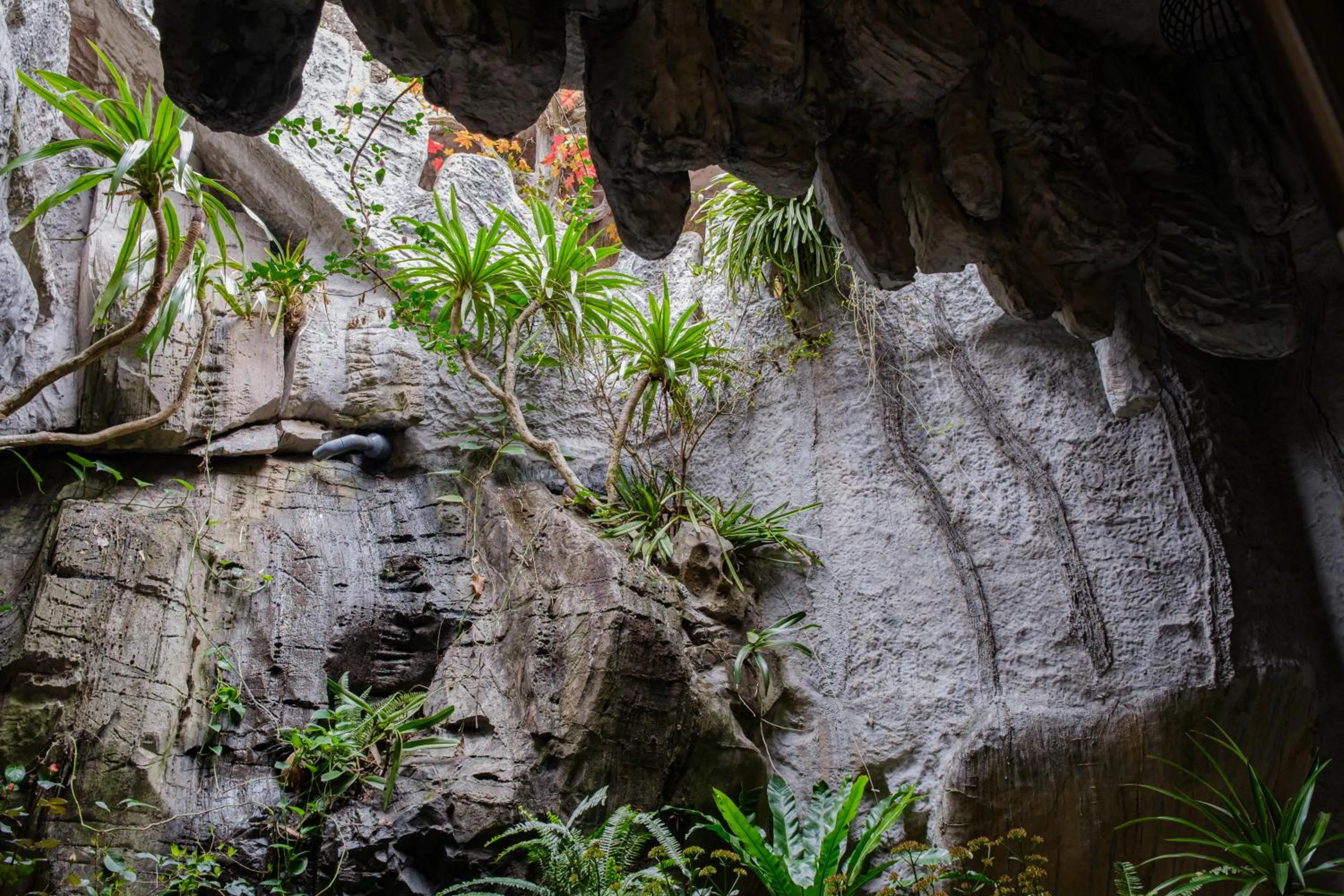 Day in Roza Palace Cat Ba