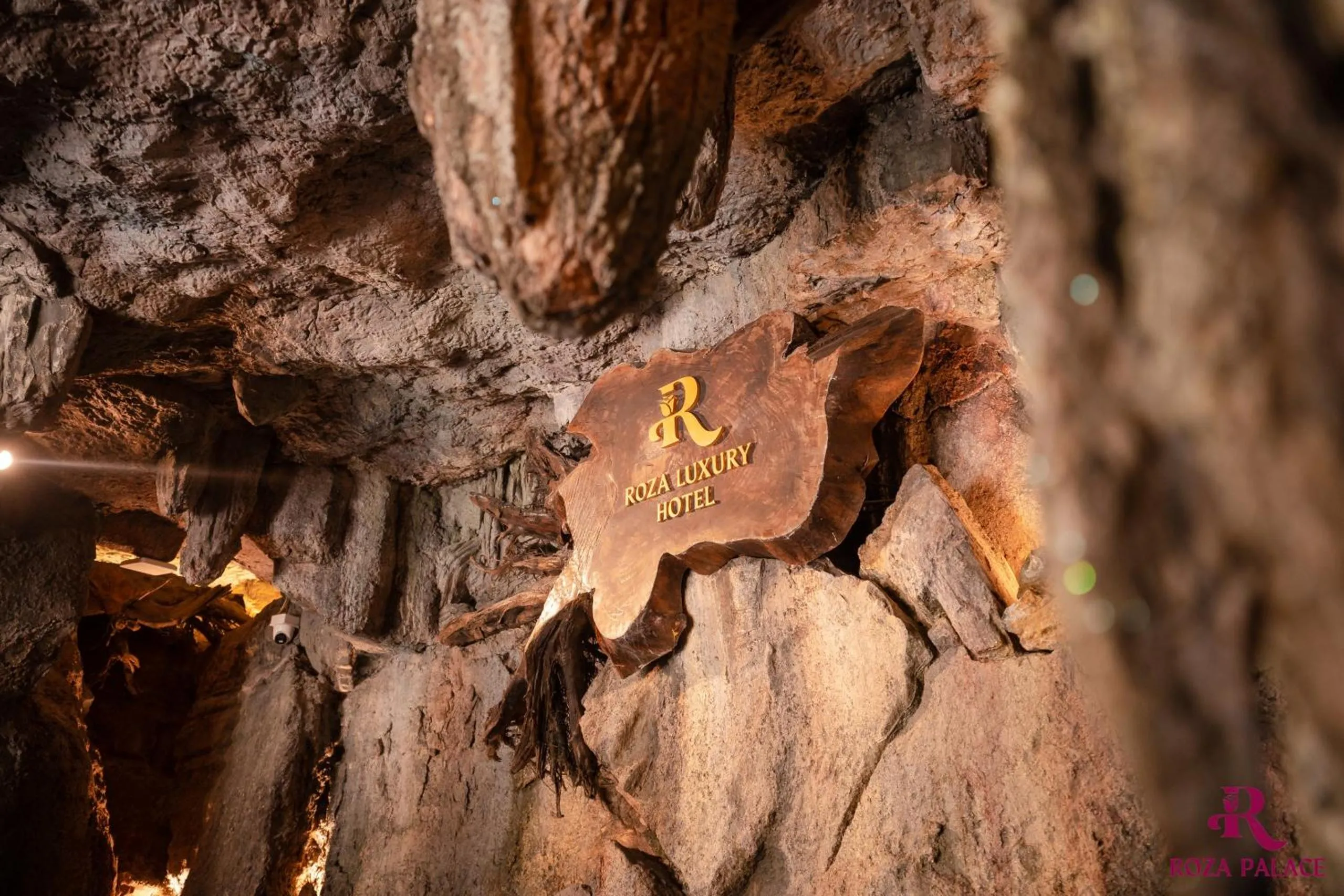 Property logo or sign in Roza Palace Cat Ba