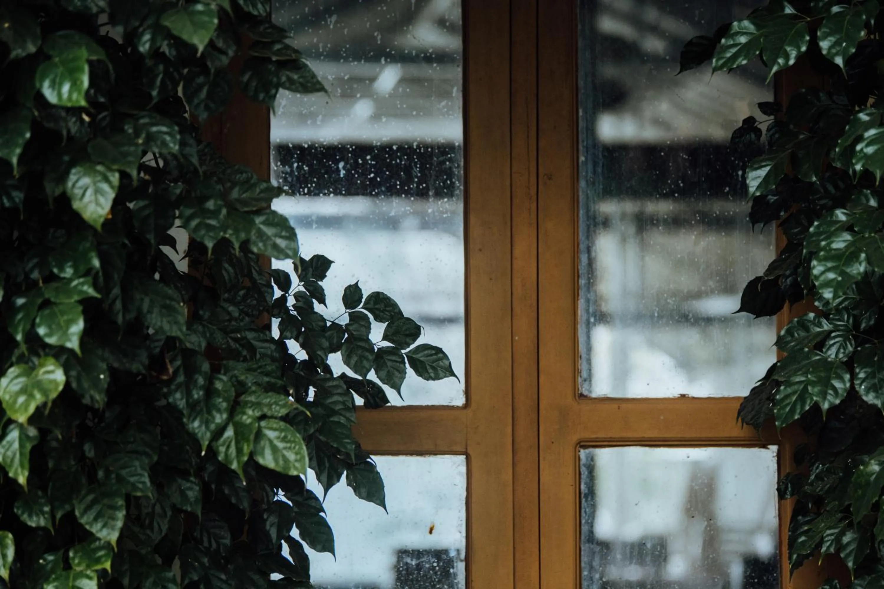 Garden in Villa Sasha By Elixir Cliff