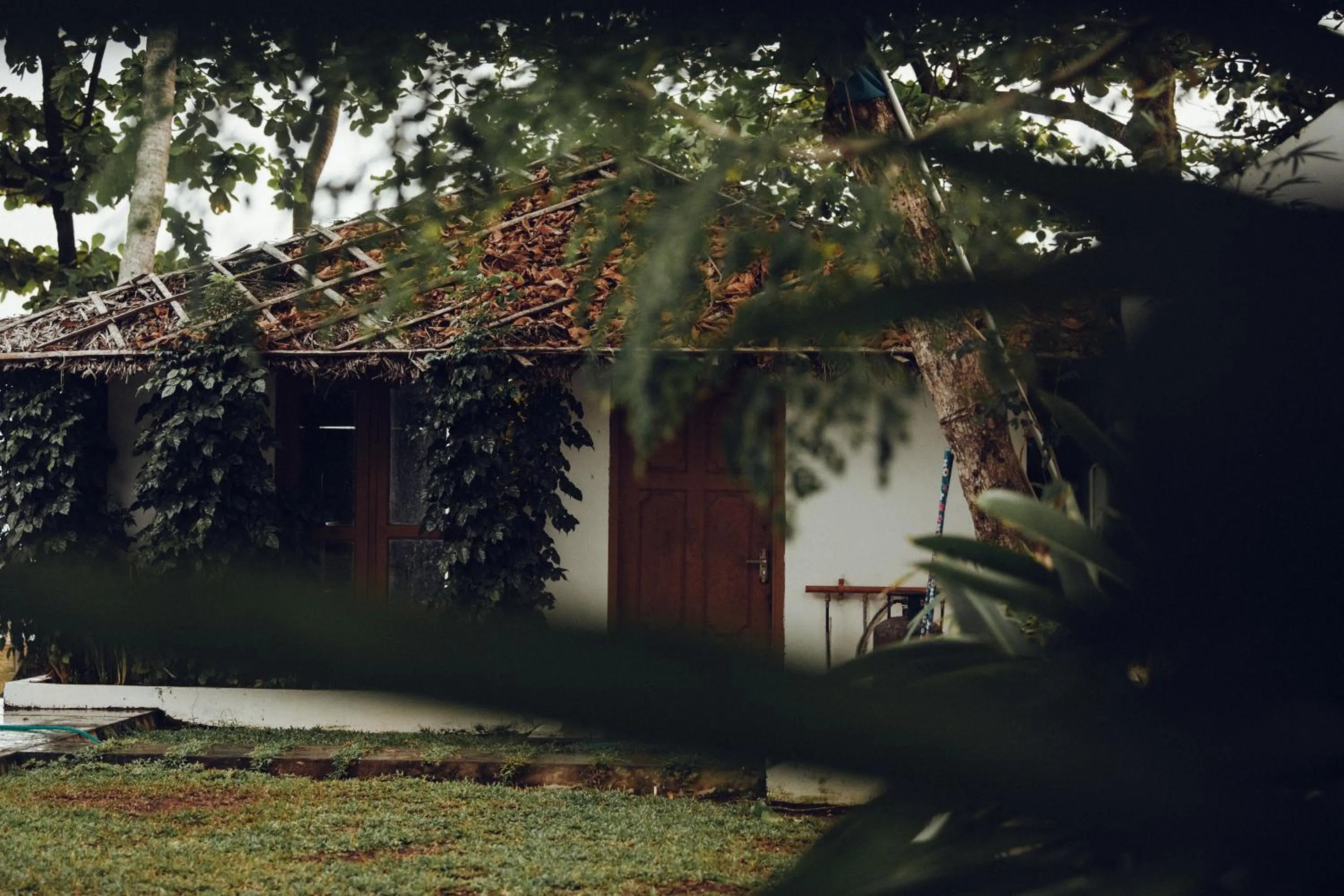 Garden in Villa Sasha By Elixir Cliff