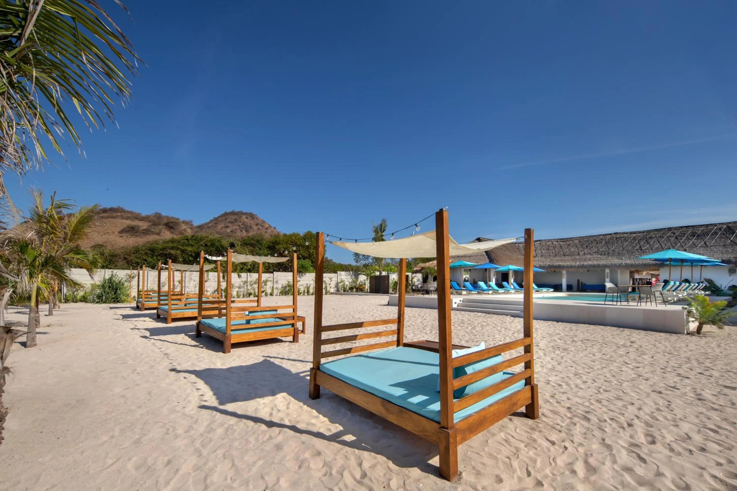 Natural landscape in Mocean Beach Resort