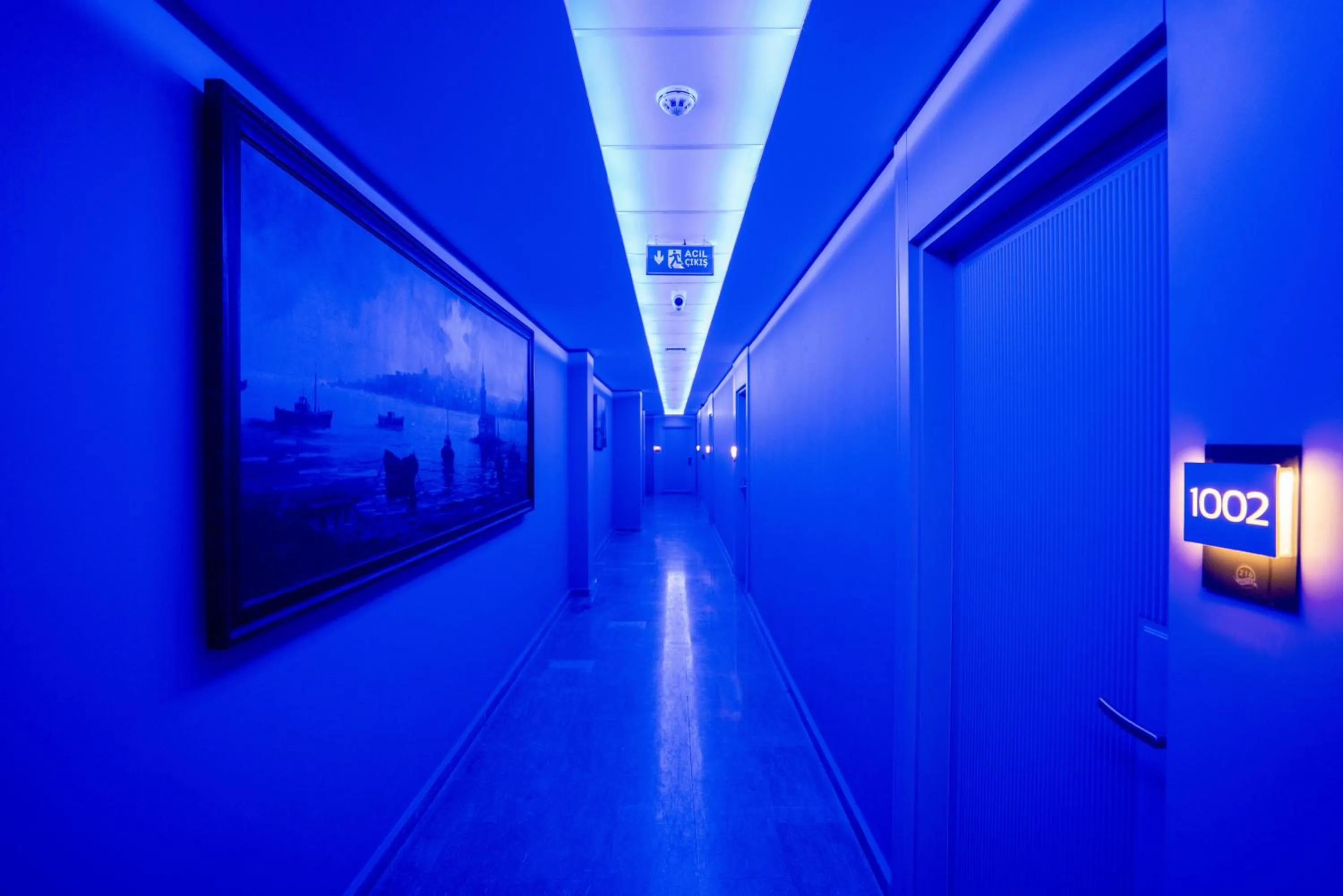 Decorative detail in 216 Station Suite Gebze