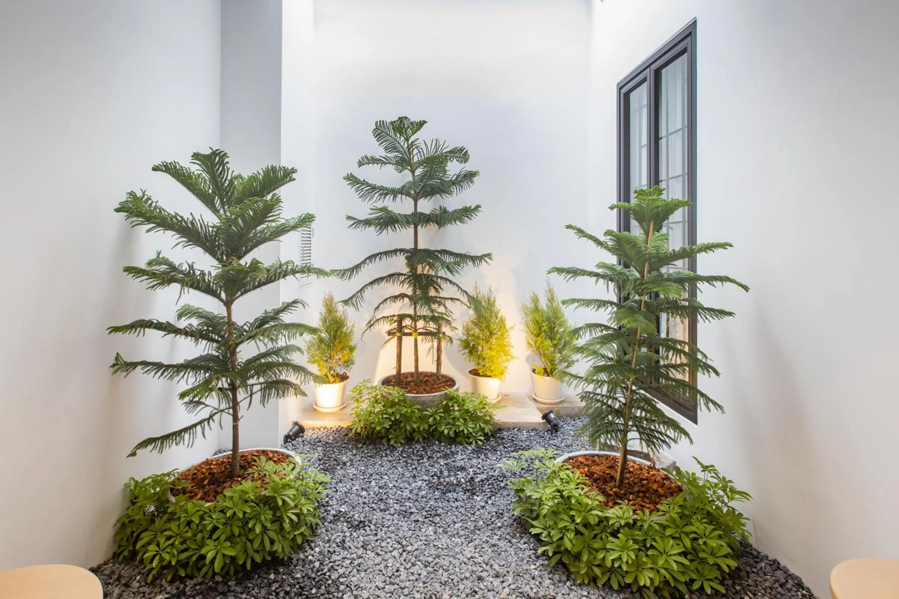 Garden in The Elements Boutique House