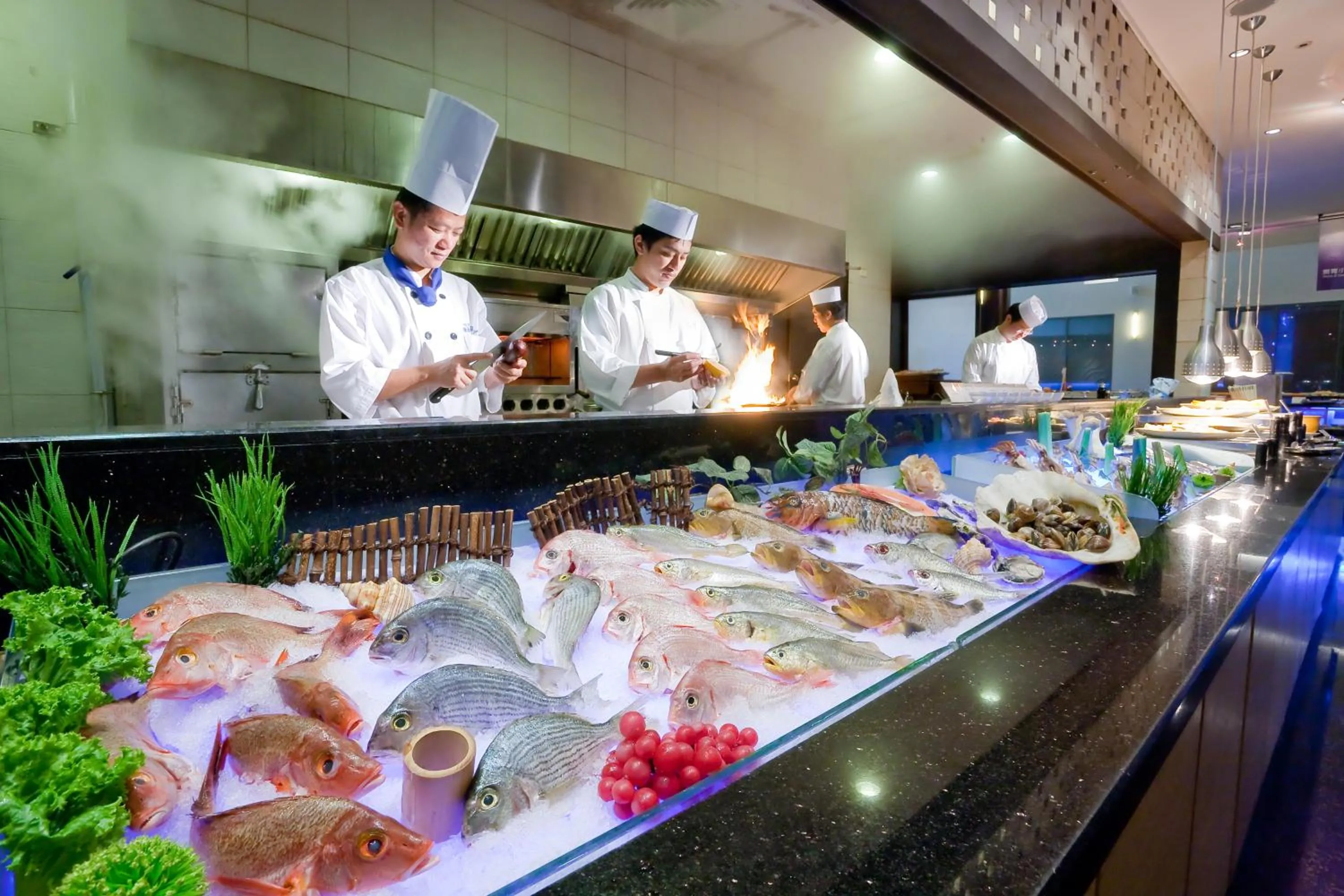 Food and drinks in Queena Plaza Hotel