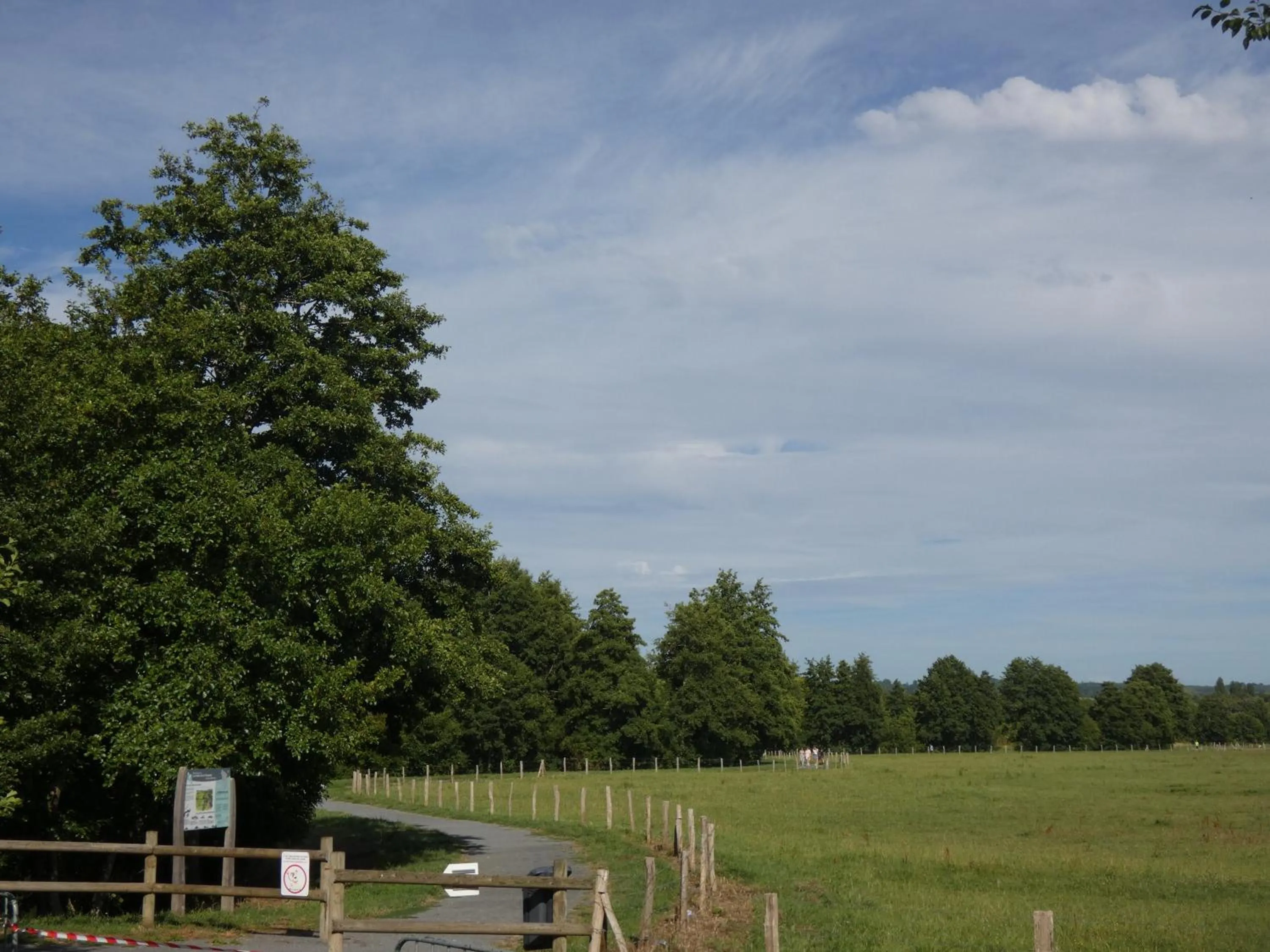 Natural landscape in Hôtel de France