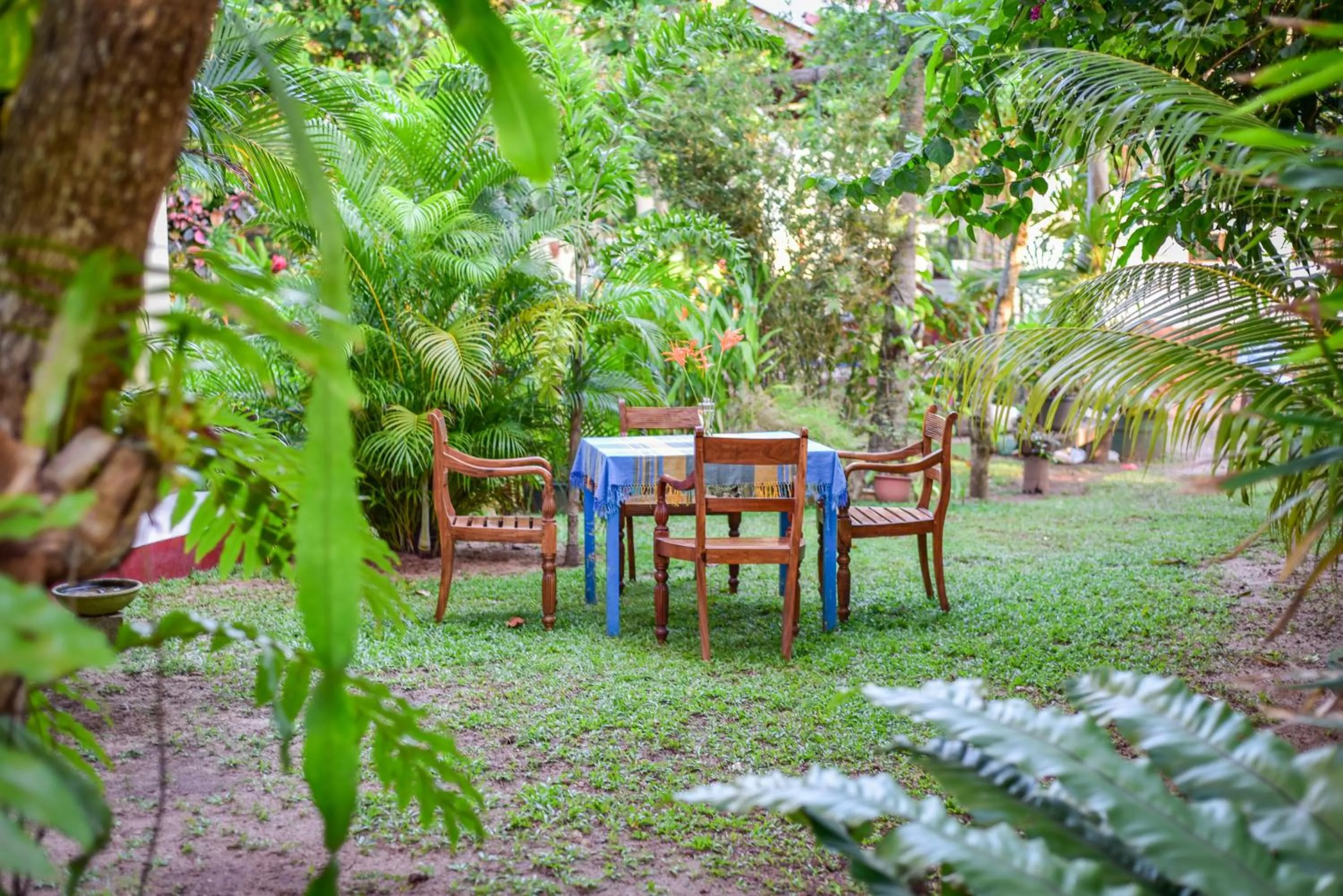 Garden view in Hotel Finlanka