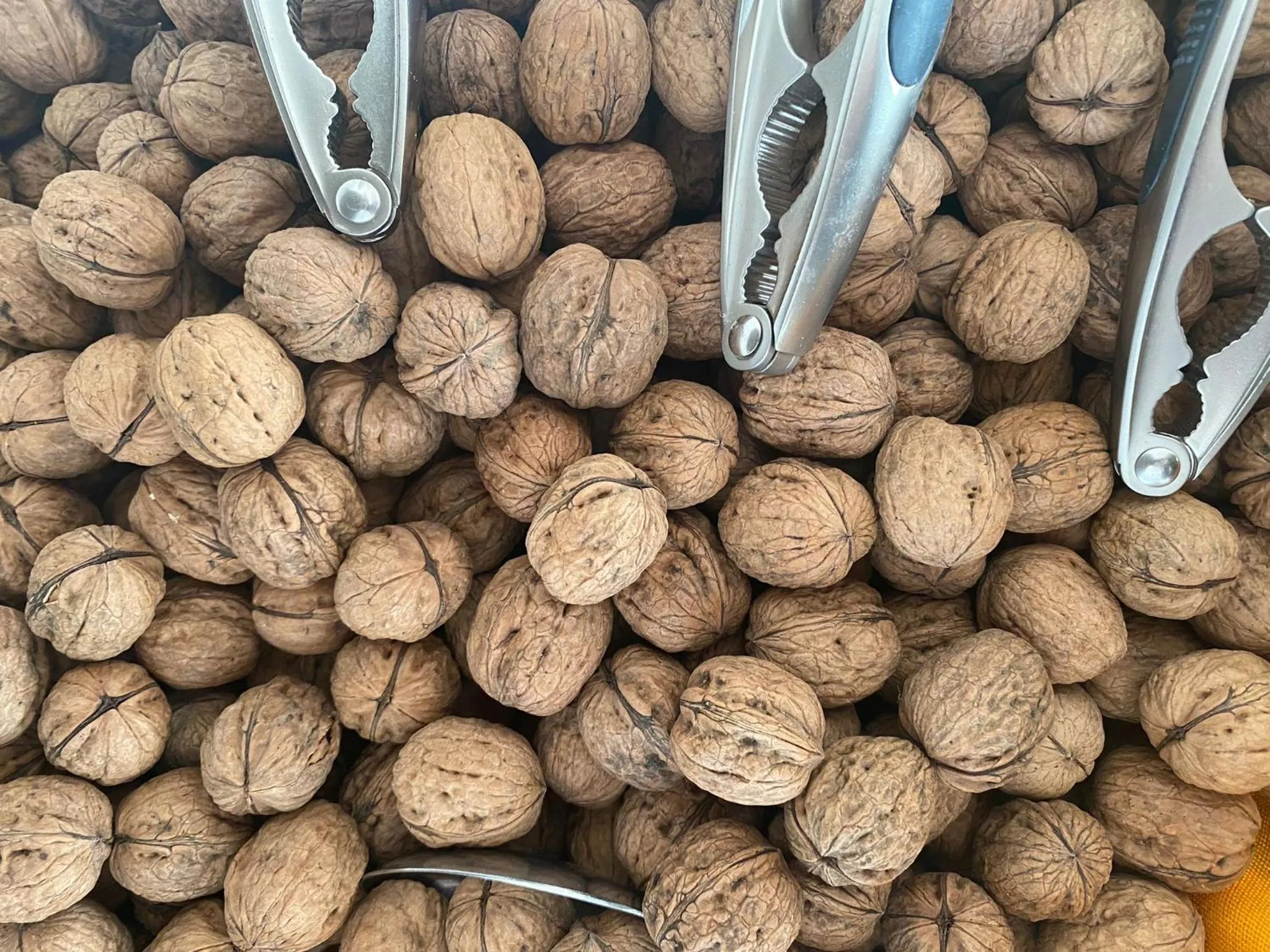 Food and drinks in Hotel Cormoran Riccione