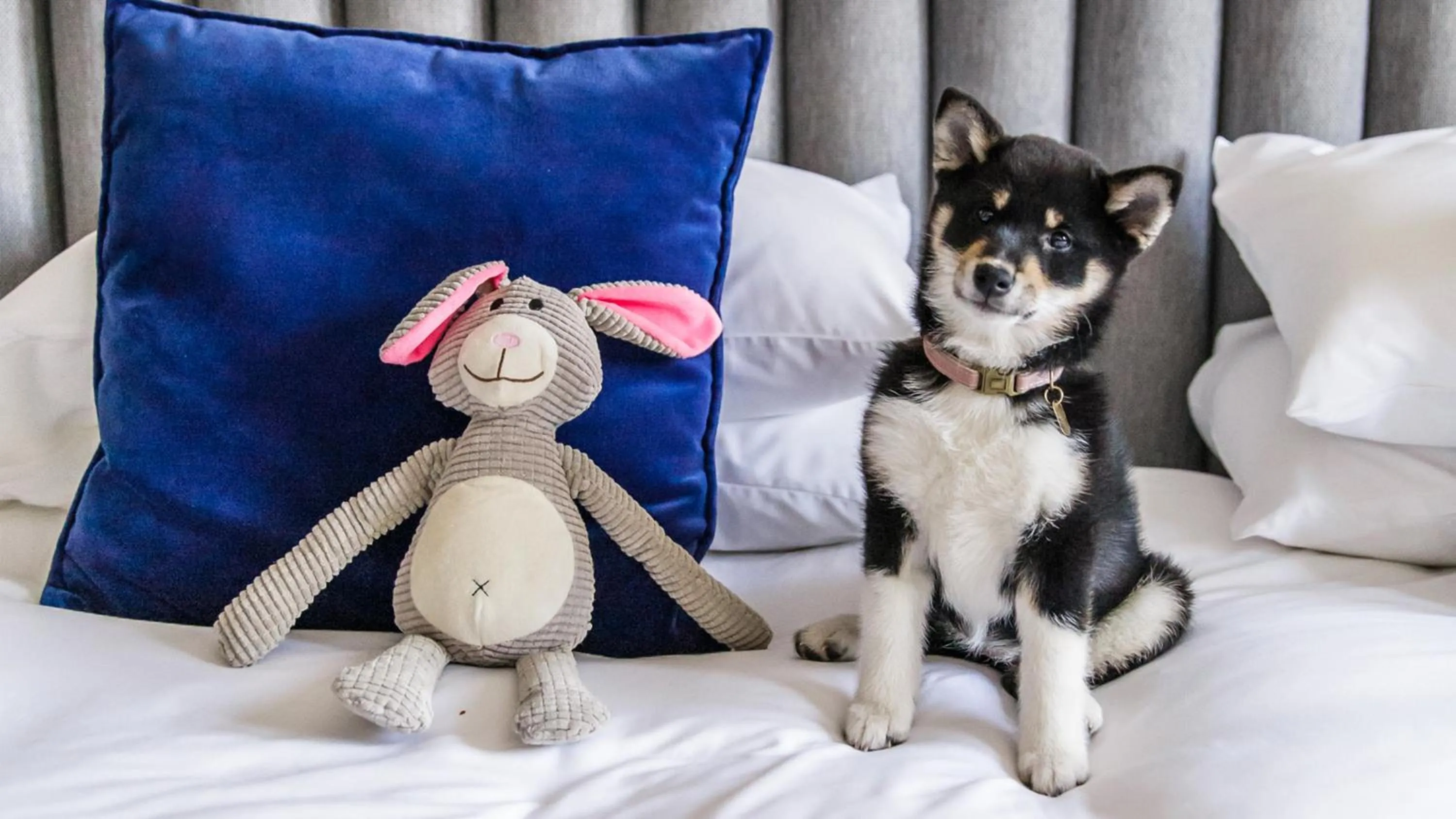 Lobby or reception in Kimpton De Witt Amsterdam by IHG