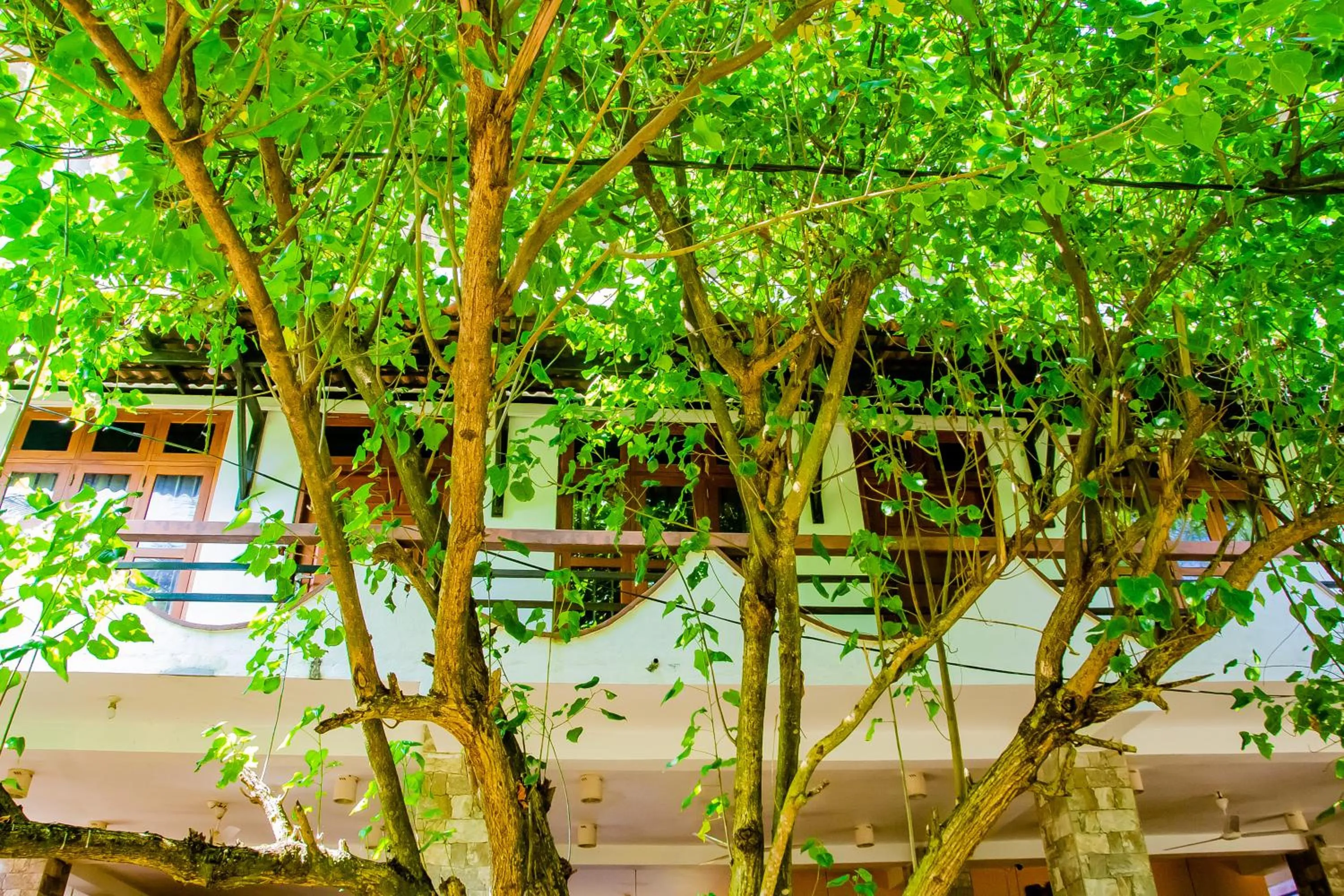 Facade/entrance in Blowhole Unawatuna