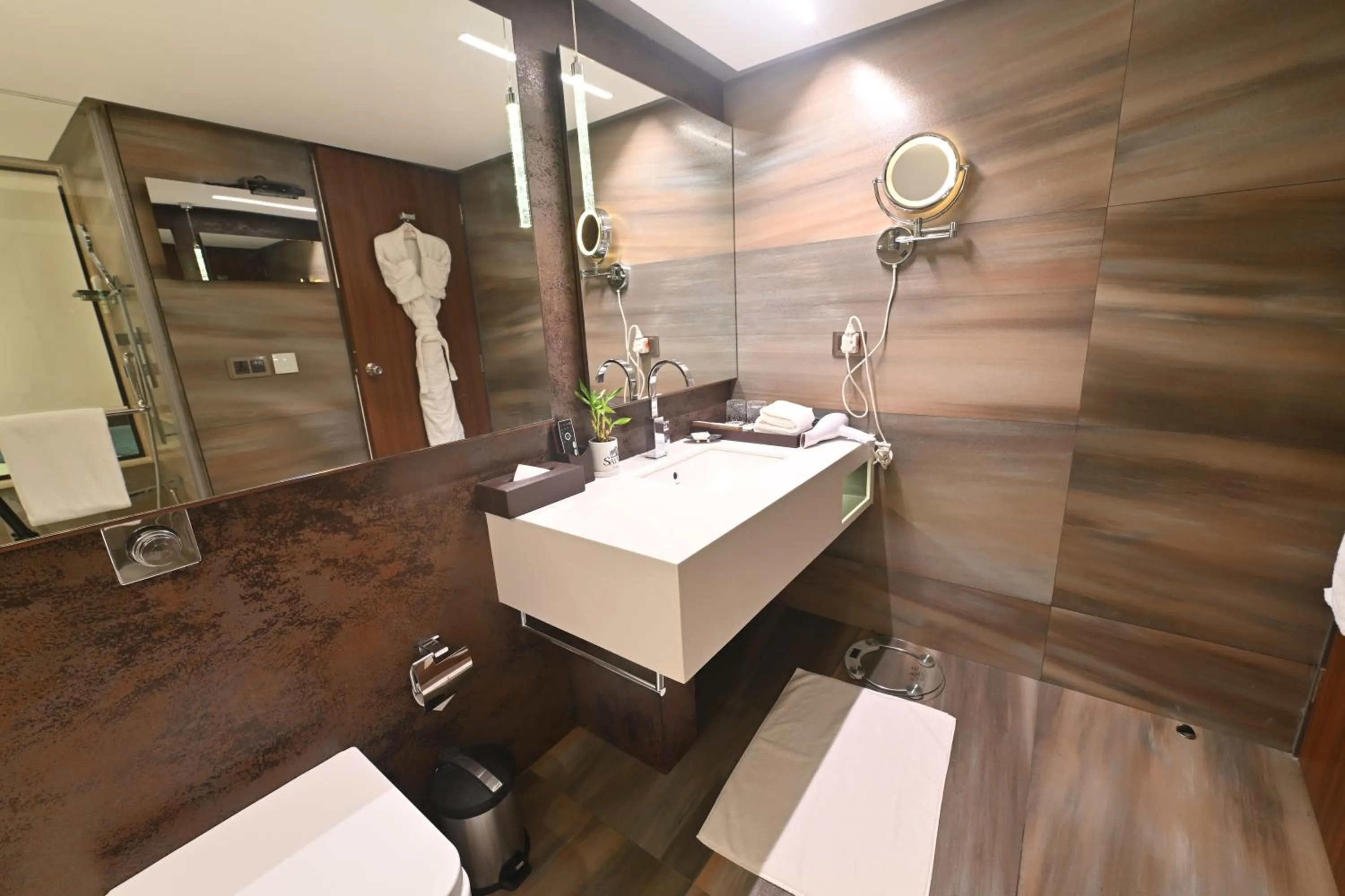 Bathroom in Sayaji Indore