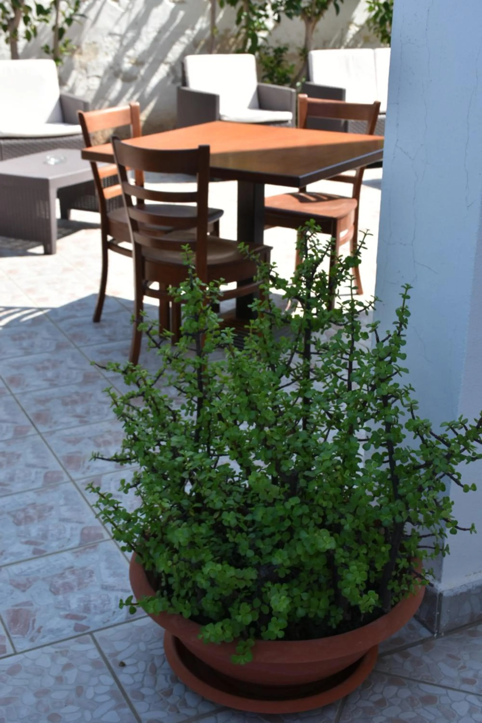 Hotel Villa del Sole