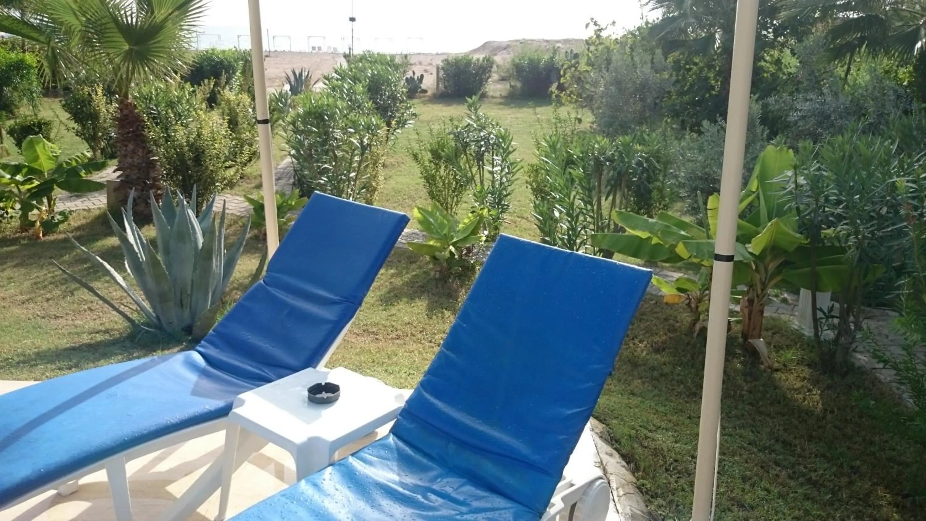 Garden in Hotel Grün