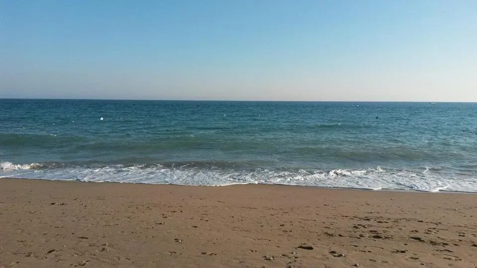 Beach in Hotel Grün