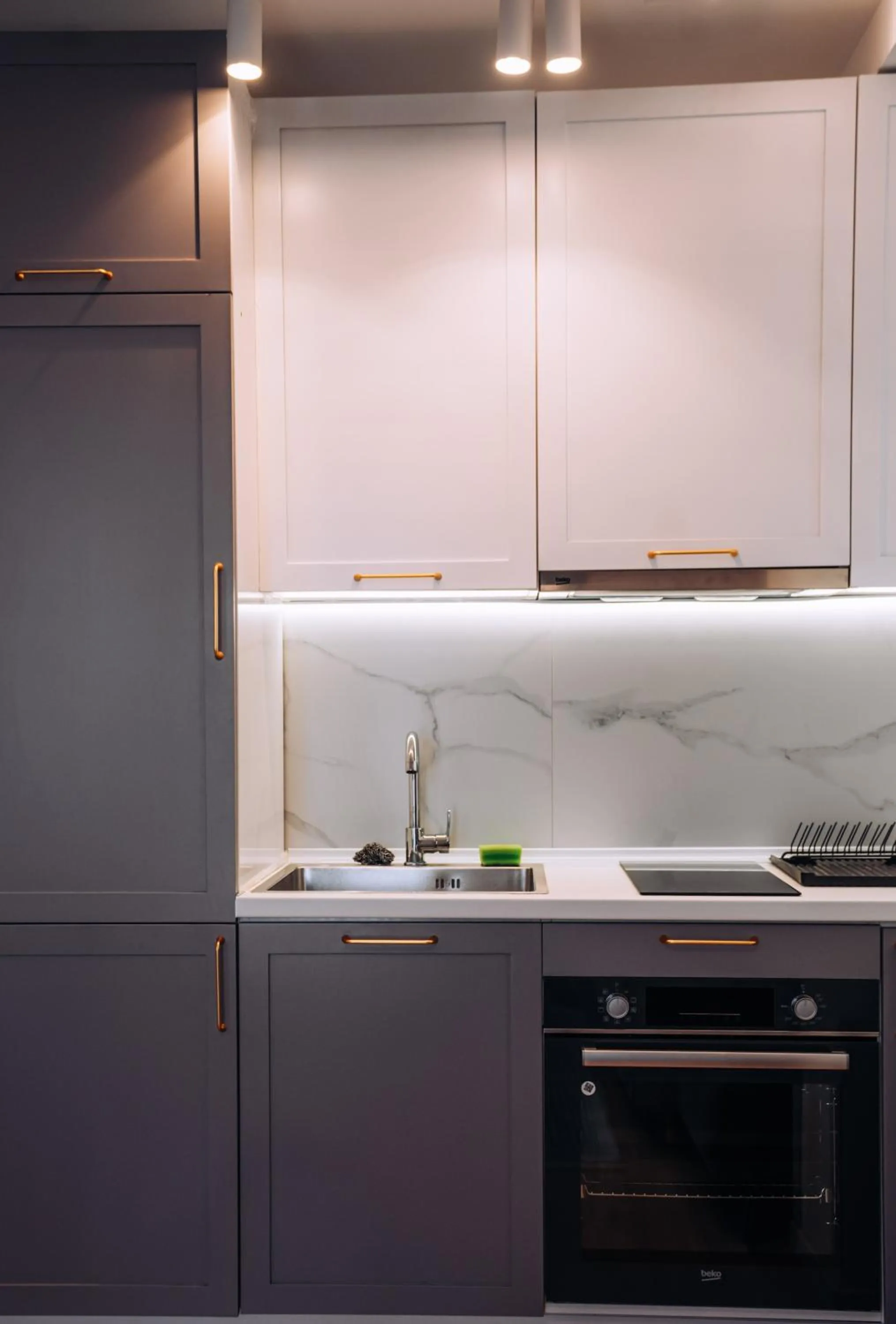 Kitchen or kitchenette in Villa Pupin SARAISTE