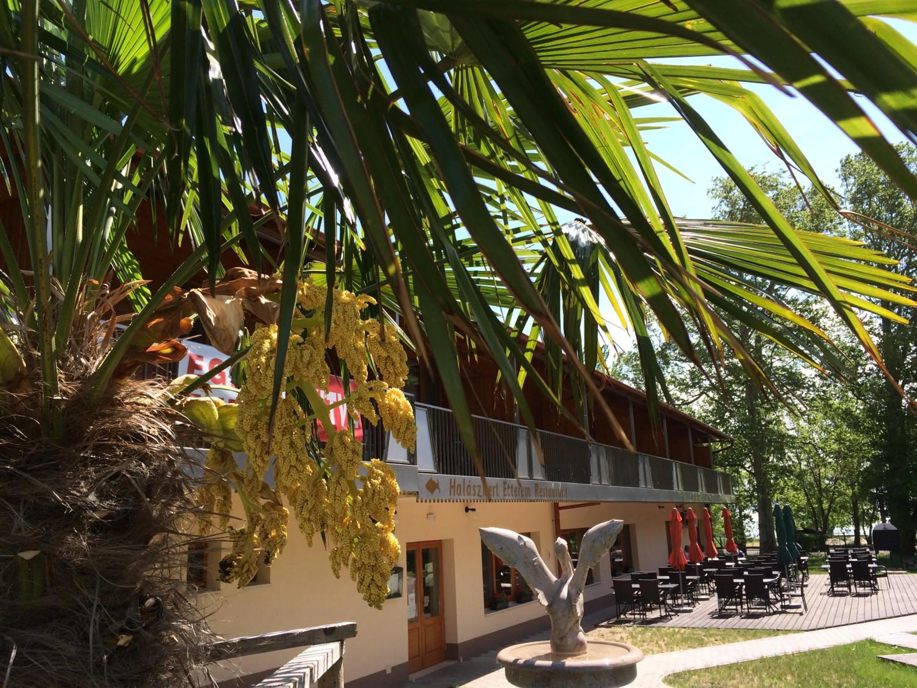 Balcony/Terrace in Hotel Halászkert Badacsony
