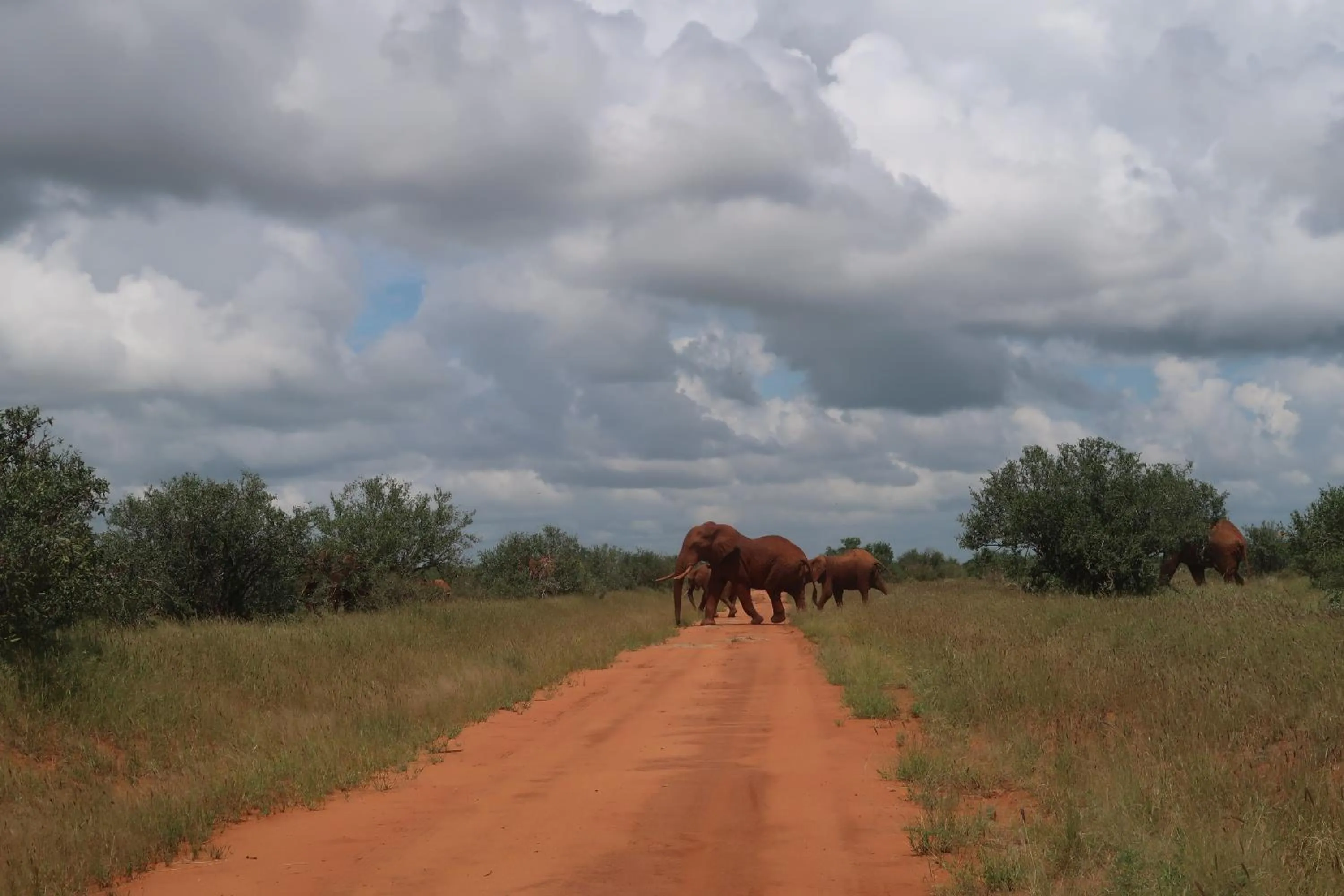Tausa Tsavo Eco Lodge