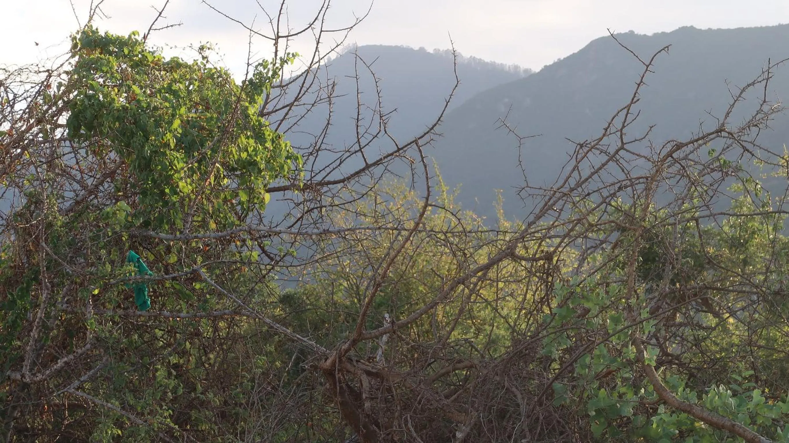 Tausa Tsavo Eco Lodge