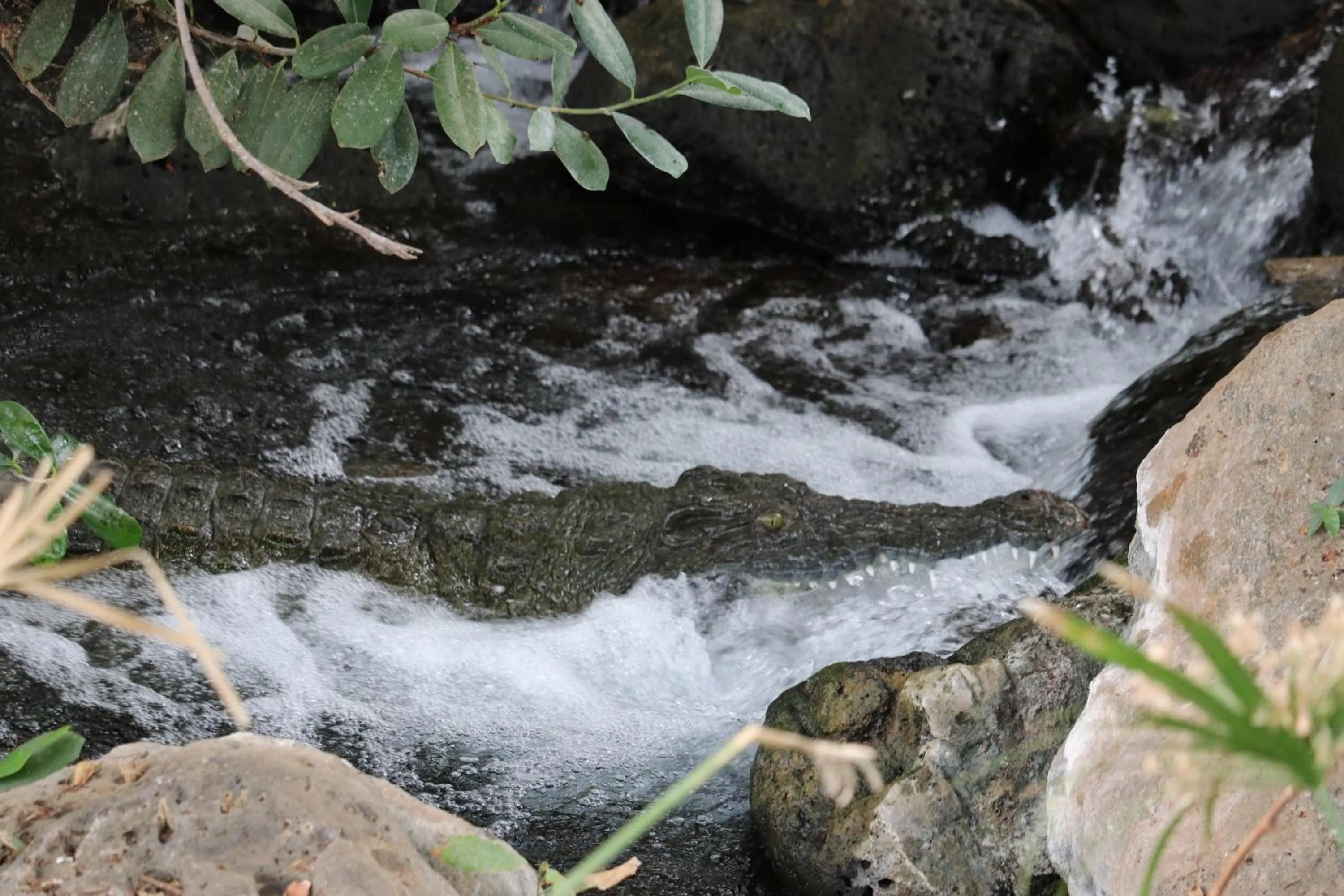 Aqua park in Tausa Tsavo Eco Lodge