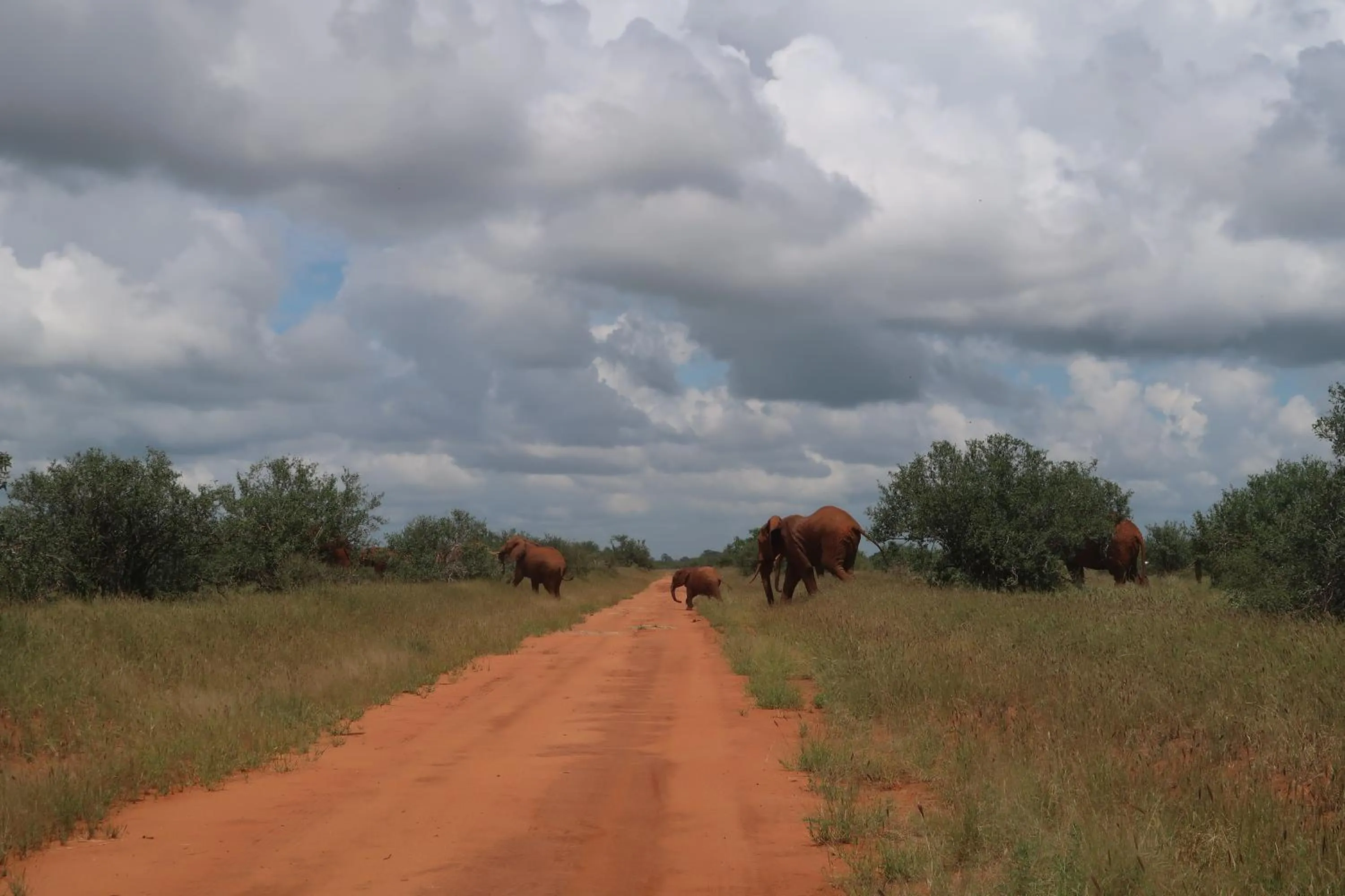 Tausa Tsavo Eco Lodge
