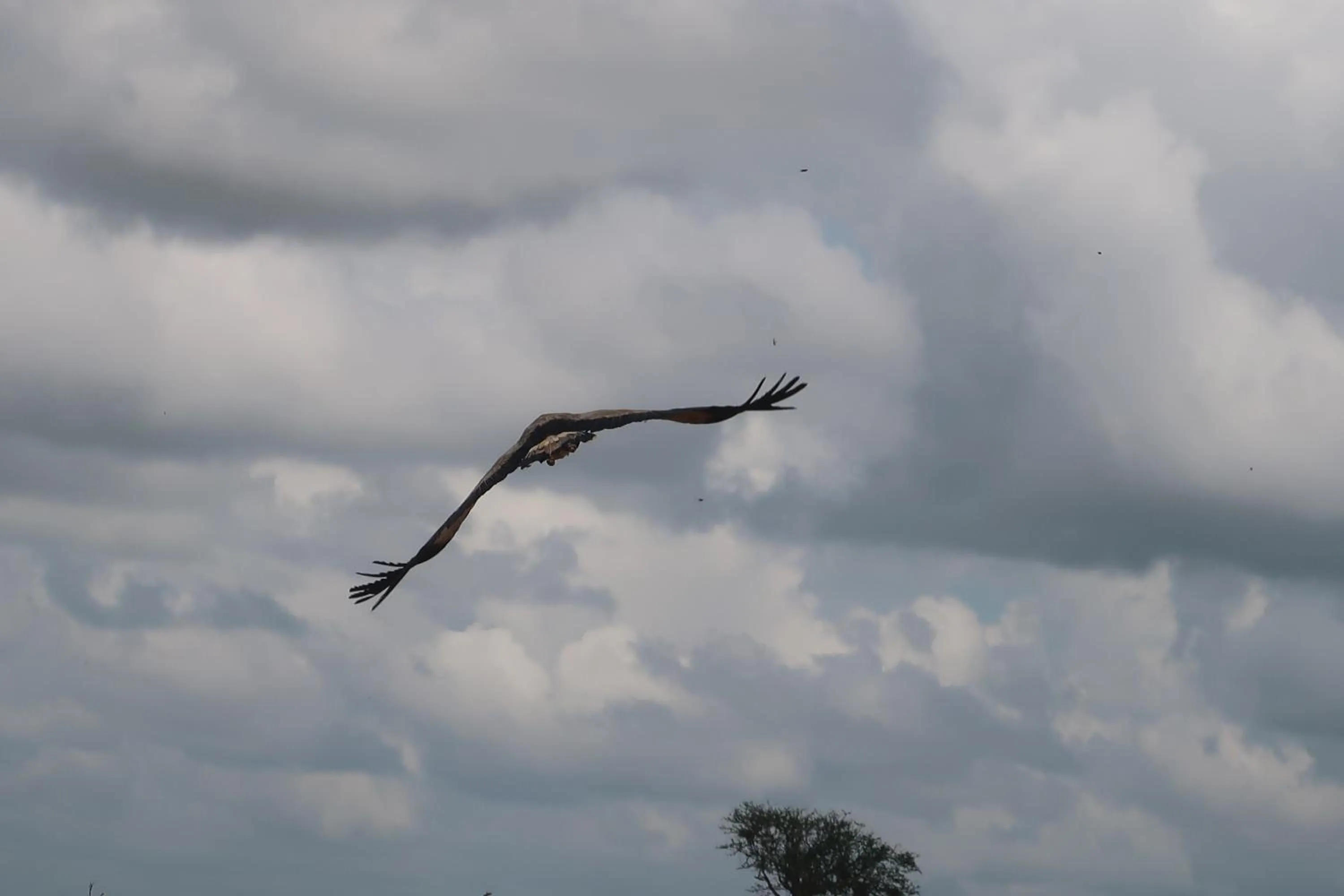 Natural landscape in Tausa Tsavo Eco Lodge