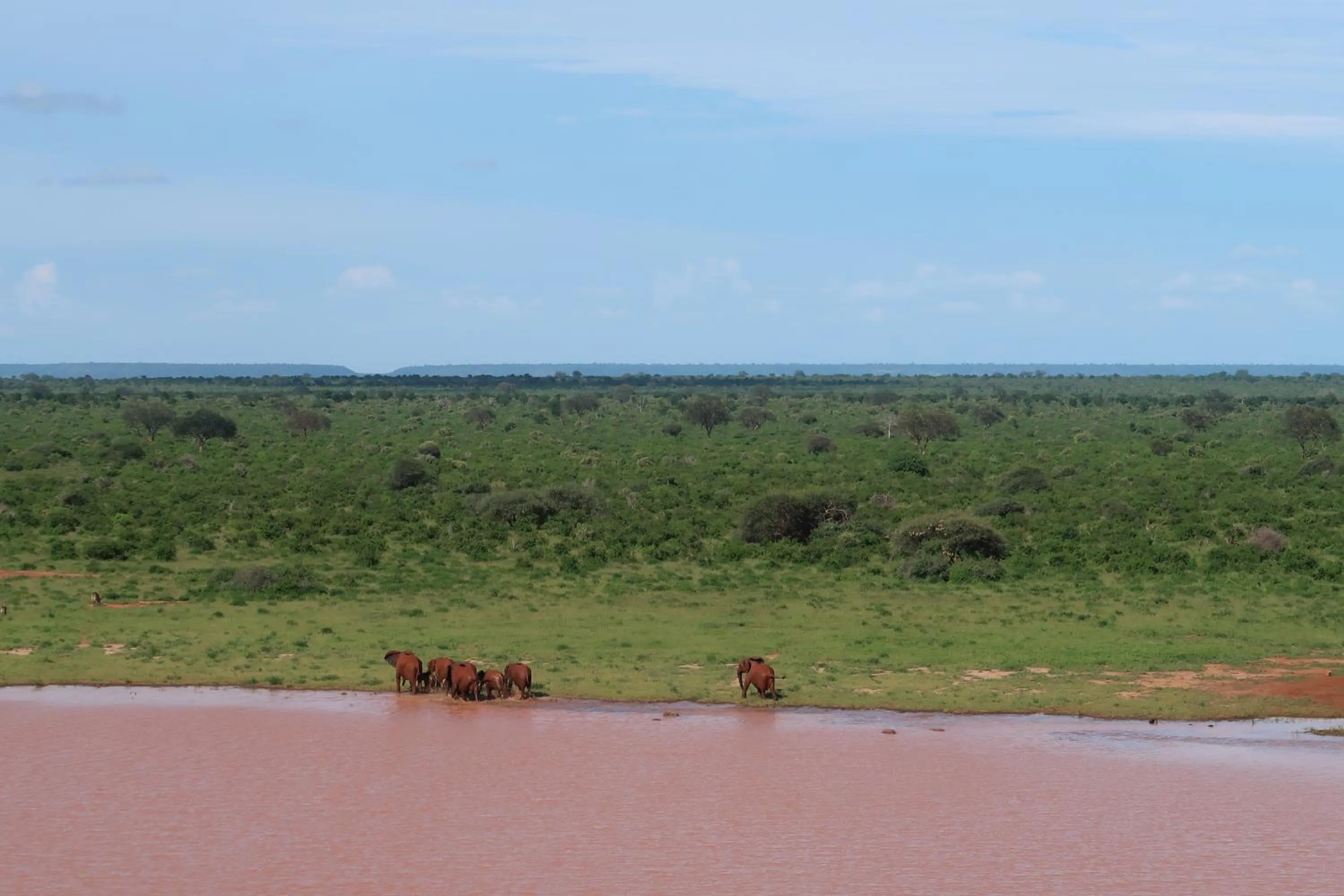 Tausa Tsavo Eco Lodge