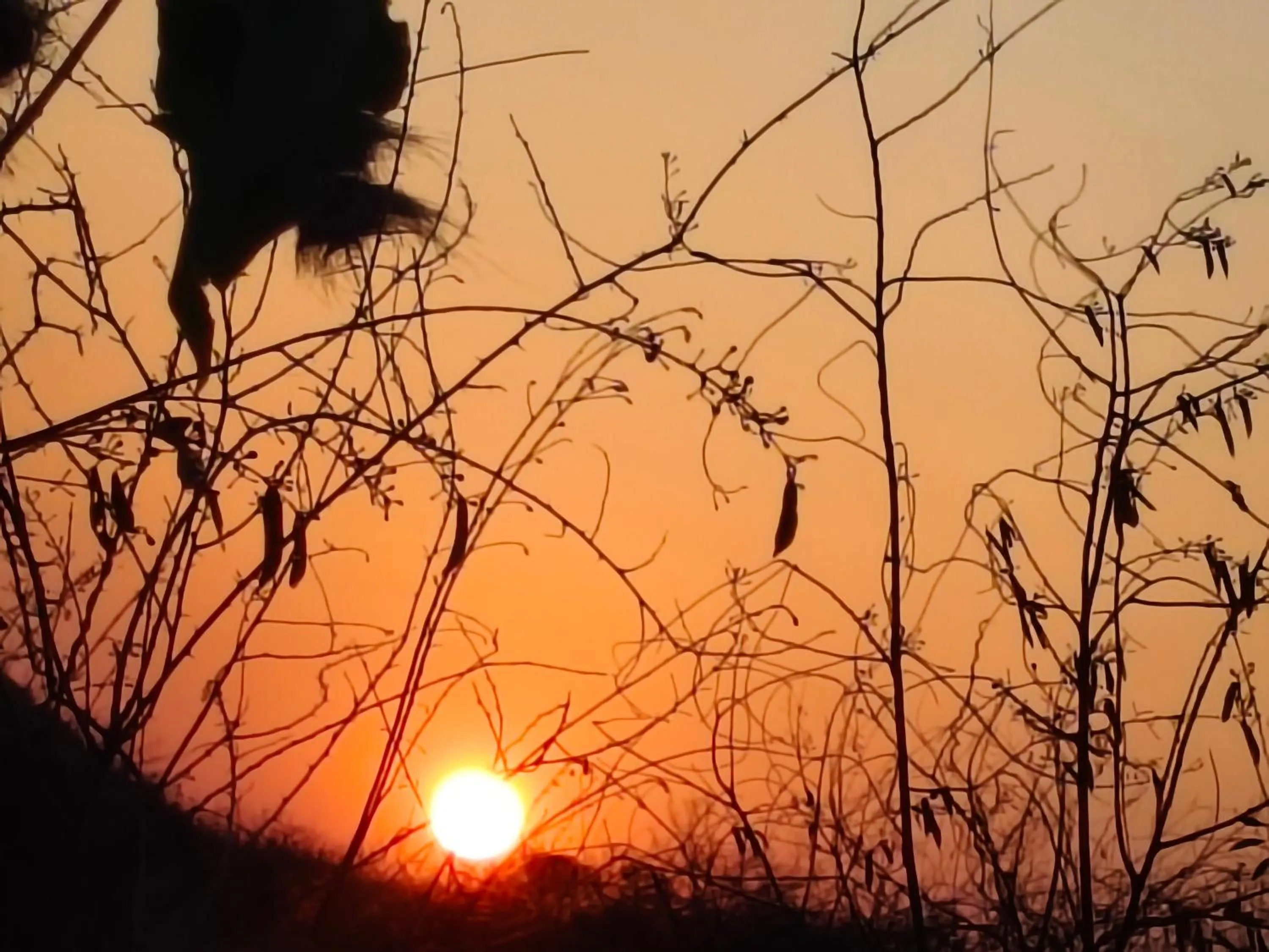 Sunrise in Tausa Tsavo Eco Lodge