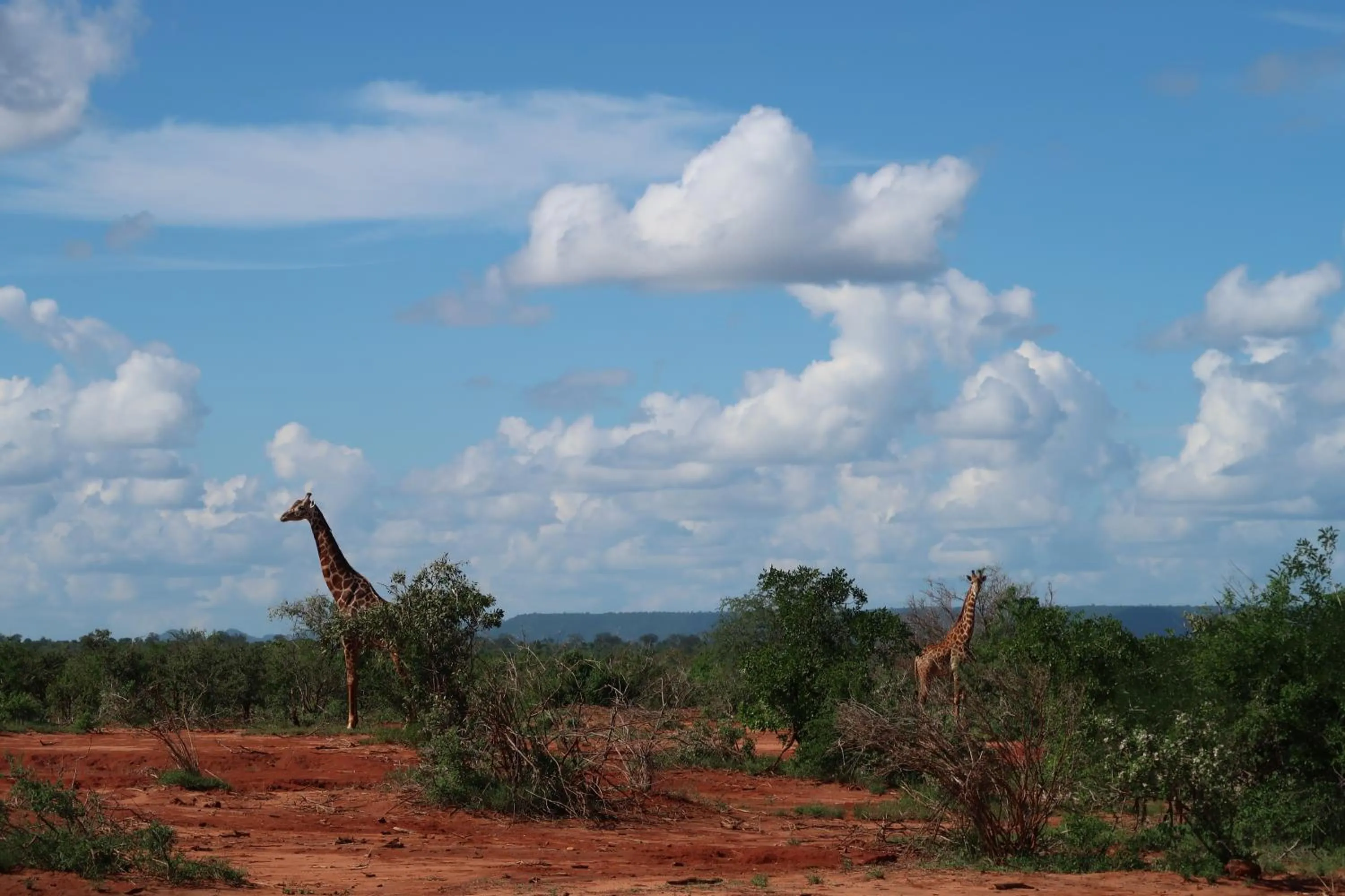 Tausa Tsavo Eco Lodge
