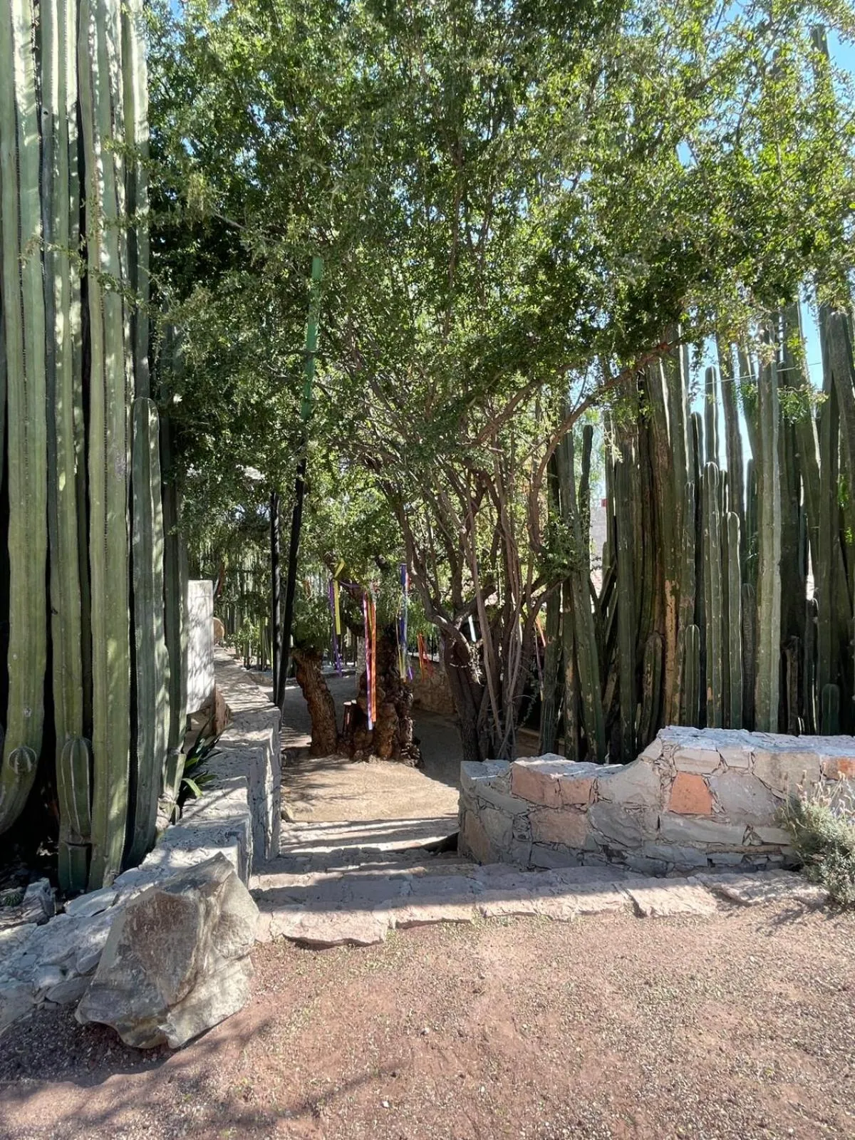 Boutique la Posada de Don Luis