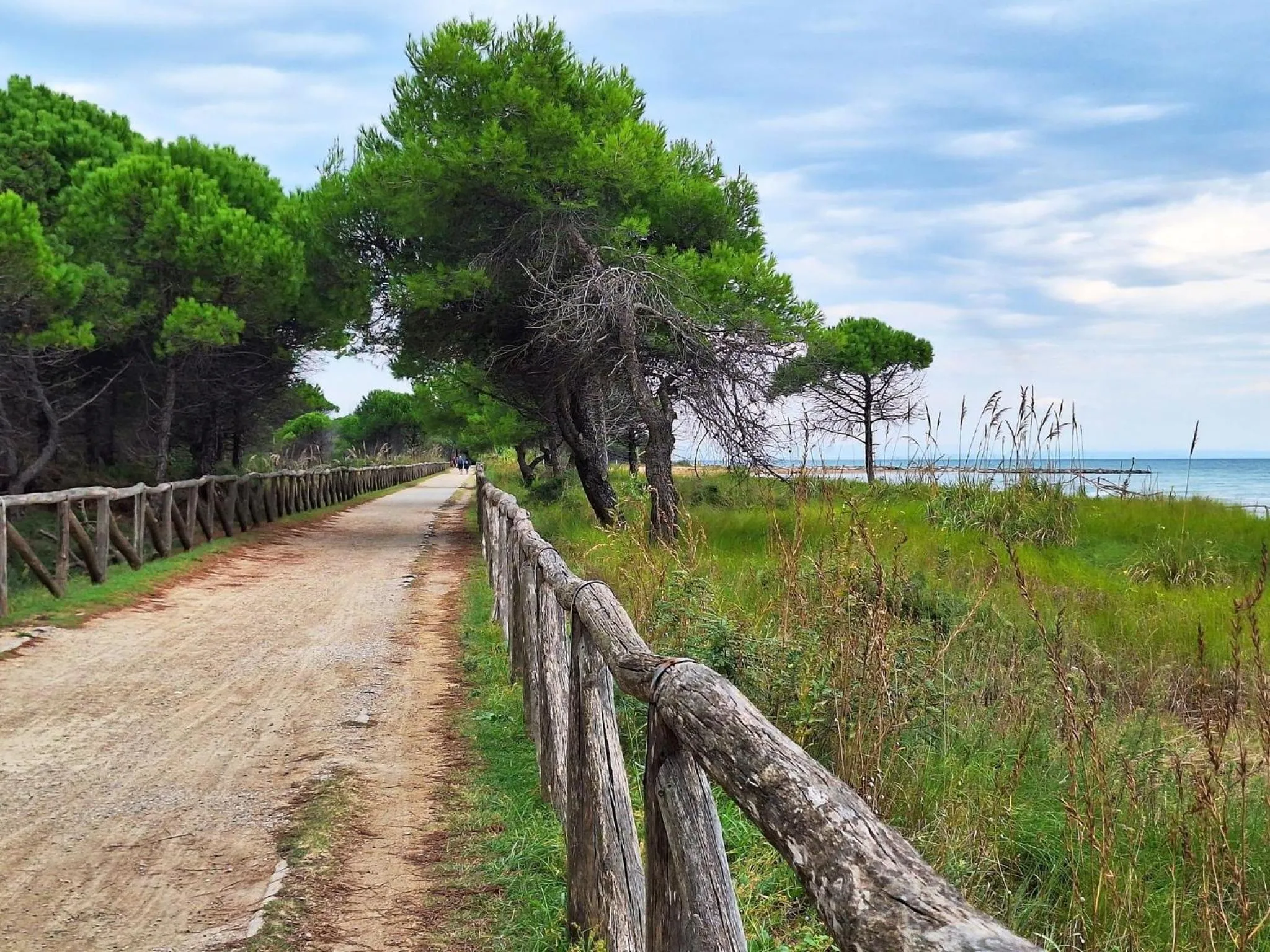 Summer in Welcoming flat with private garden-Beahost