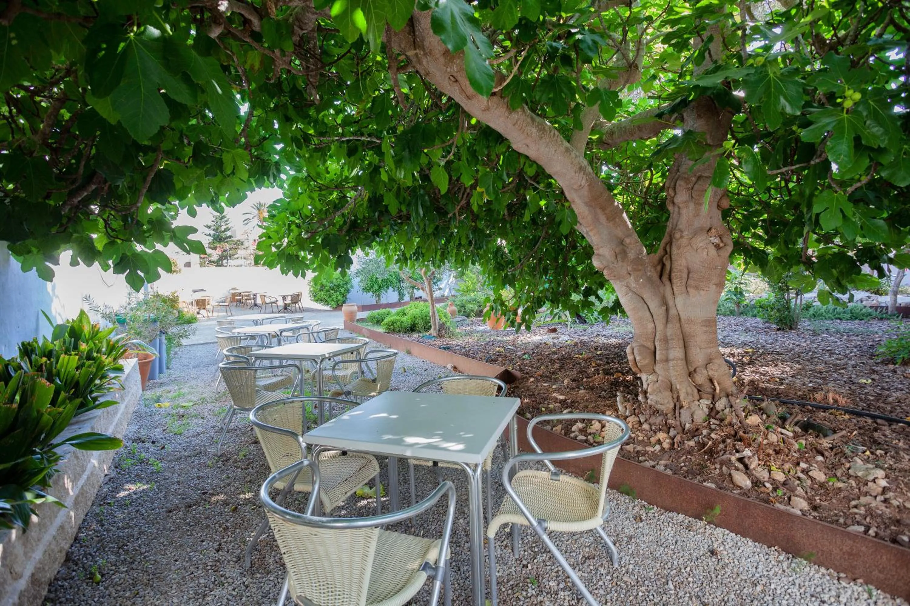 Garden in Petit Garden Hotel by Flacalco