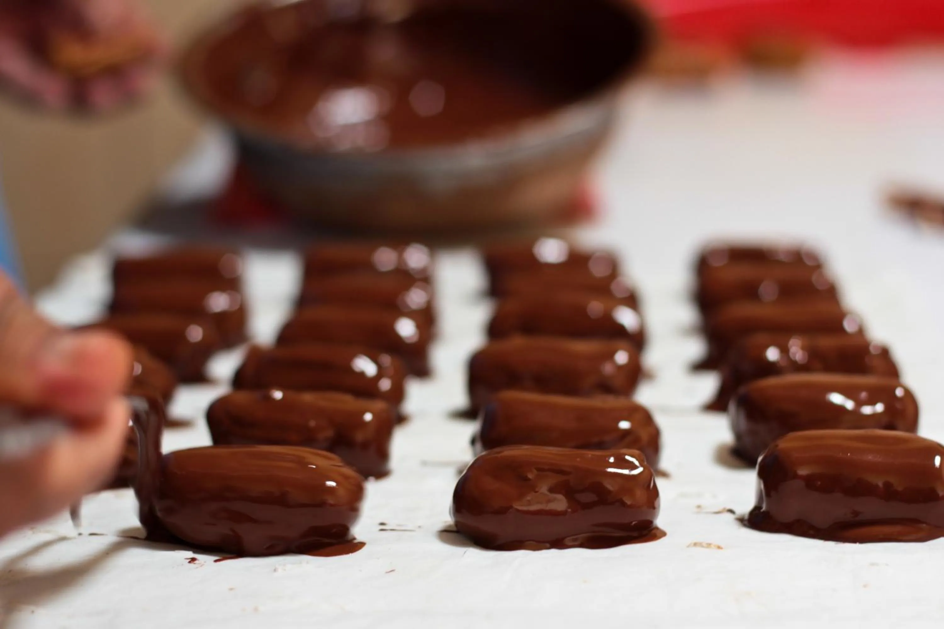 Area and facilities in Hostal Huacachina Sunset